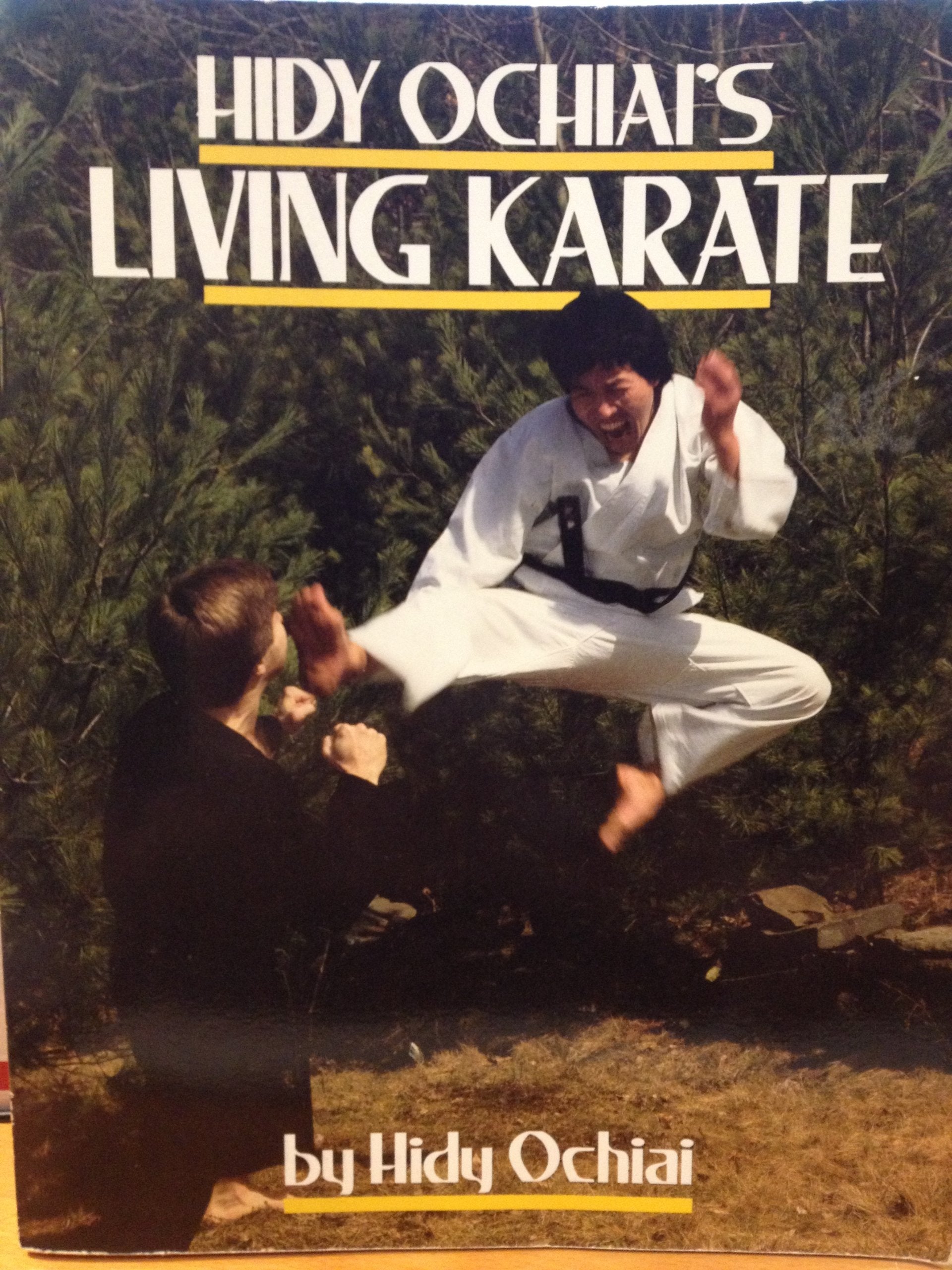 Hidy Ochiai's Living Karate used book depot