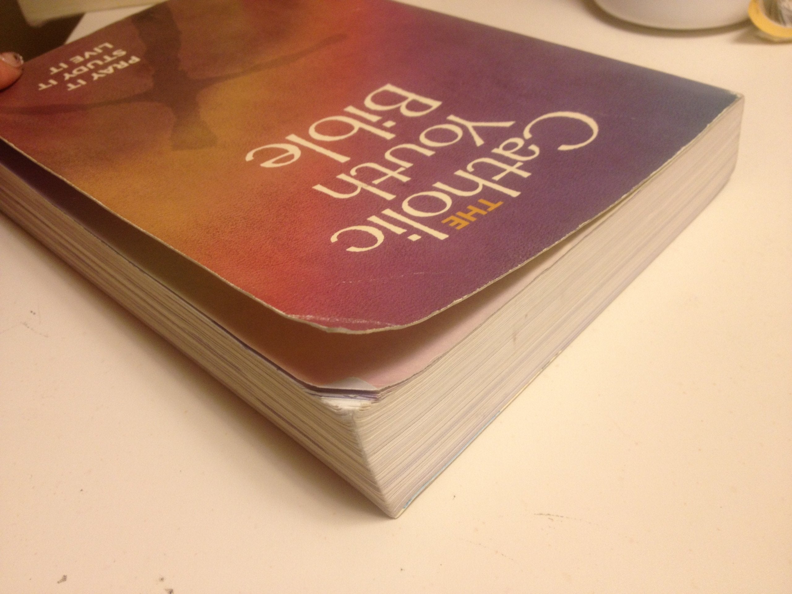 The Catholic Youth Bible: New Revised Standard Version : Catholic Edition used book depot