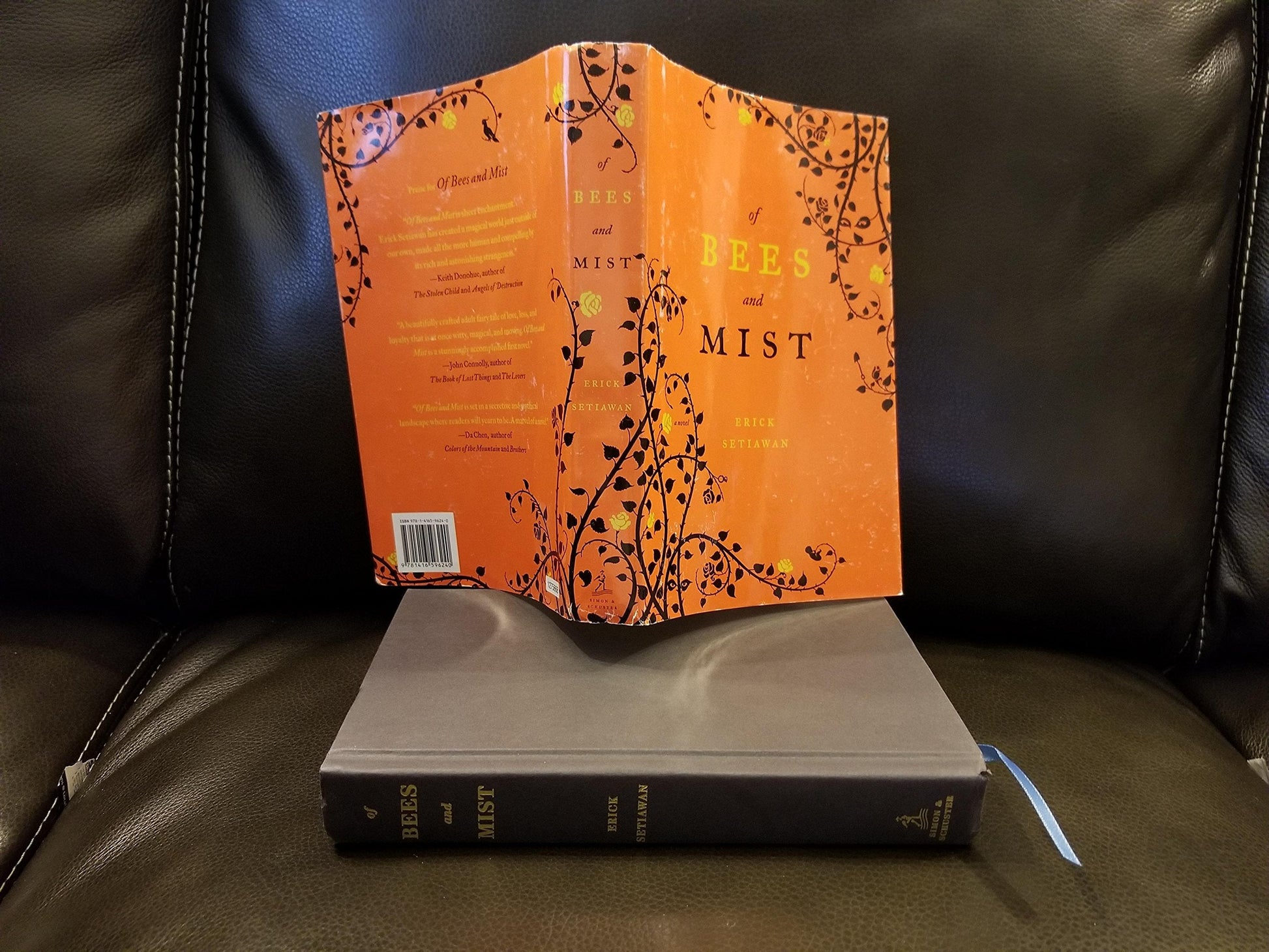 Of Bees and Mist: A Novel used book depot