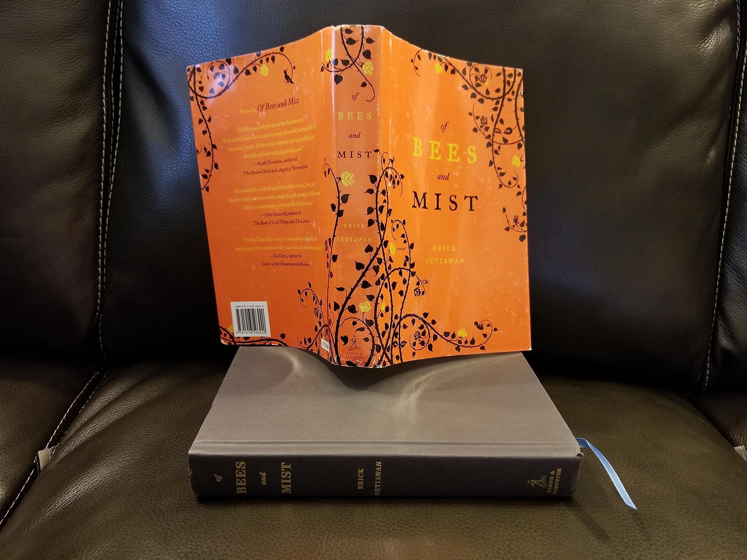 Of Bees and Mist: A Novel used book depot