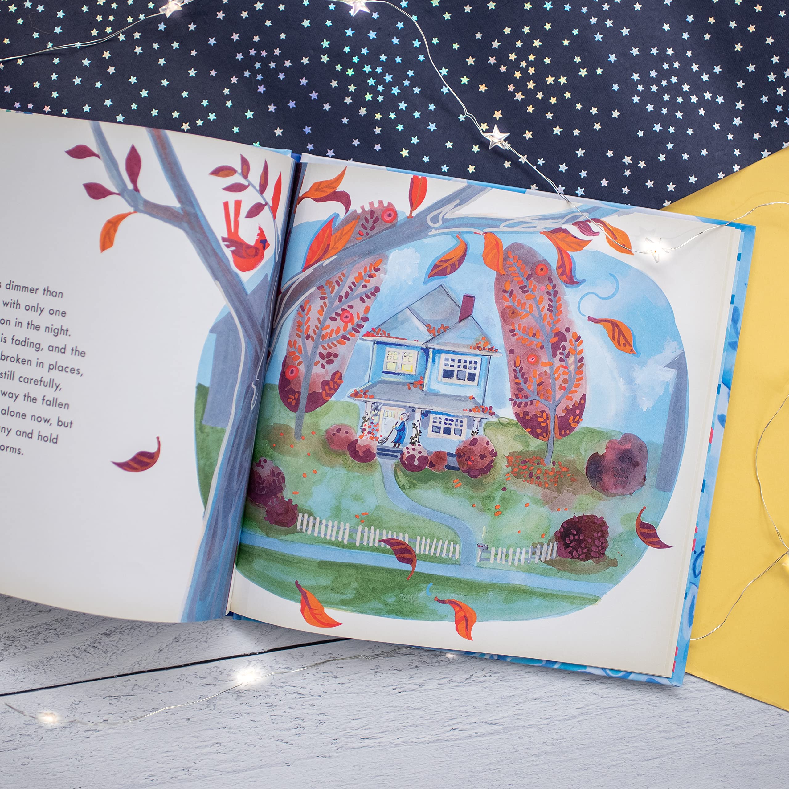 The Lantern House used book depot