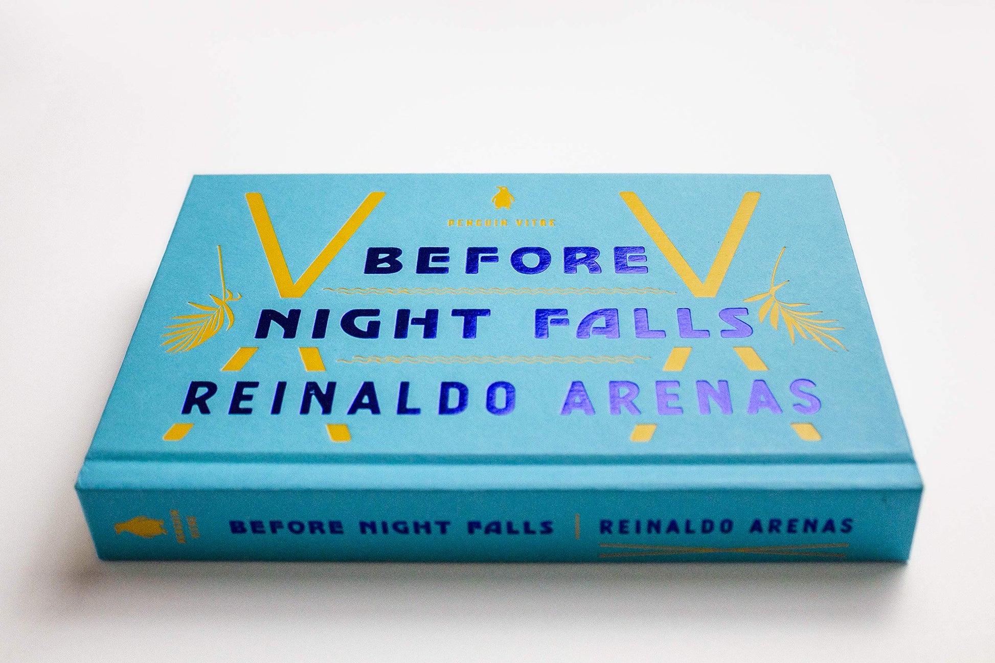 Before Night Falls: A Memoir (Penguin Vitae) used book depot