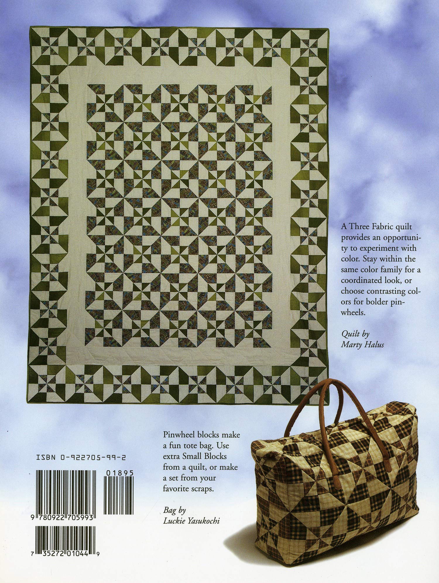 Double Pinwheel Quilt: An Easy Strip Method (Quilt in a Day Series) used book depot