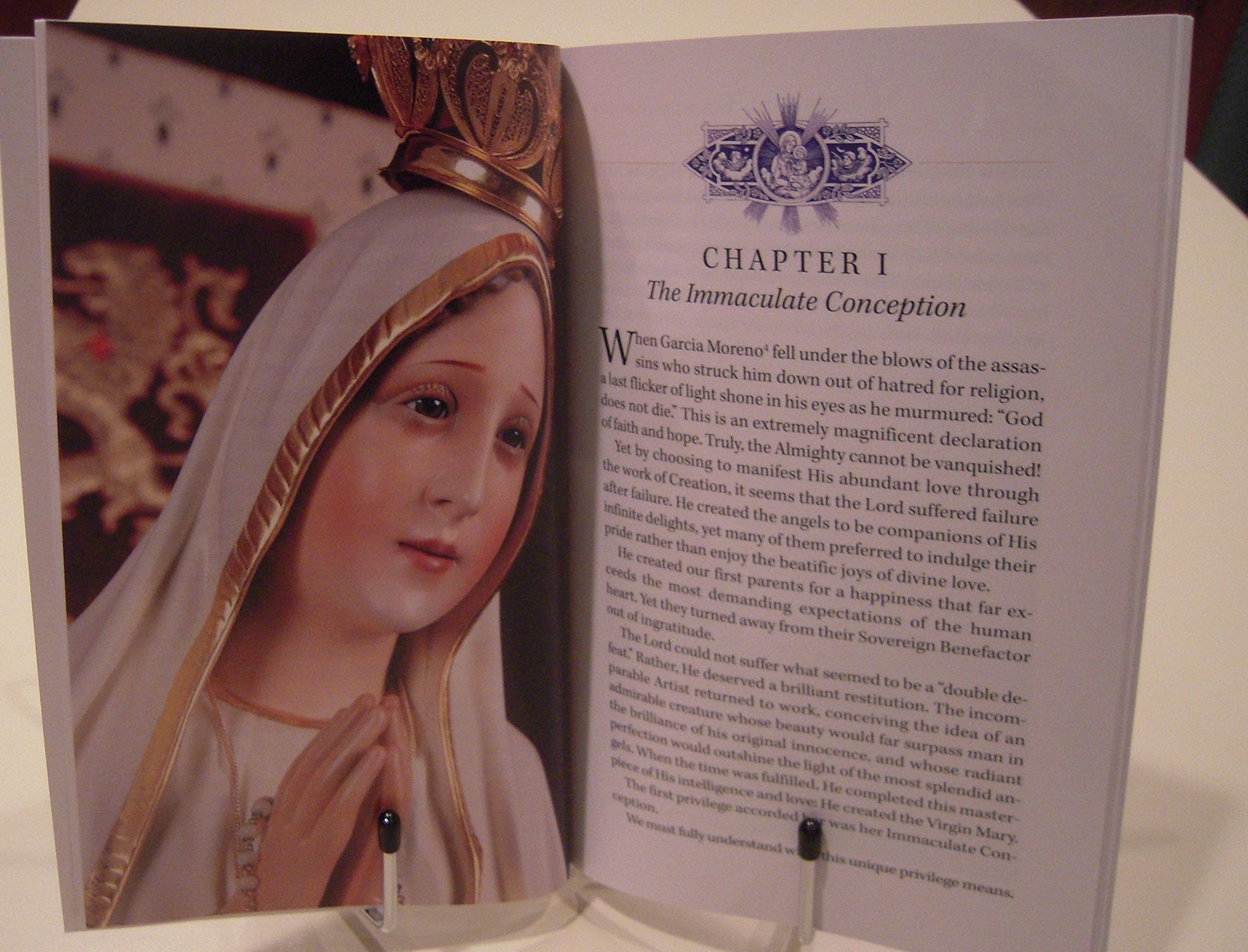 The Virgin Mary by Father Raymond De Thomas De Saint Laurent used book depot