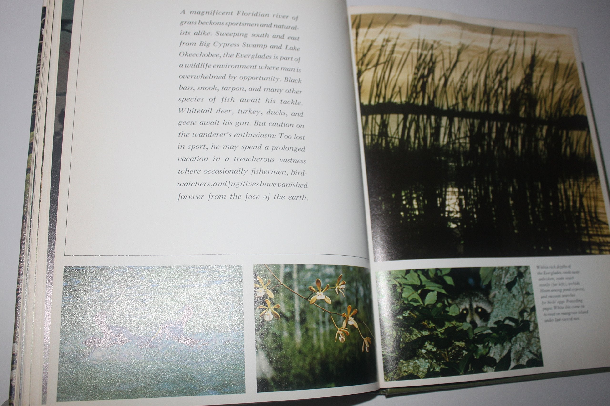 Sportsmans Wilderness used book depot