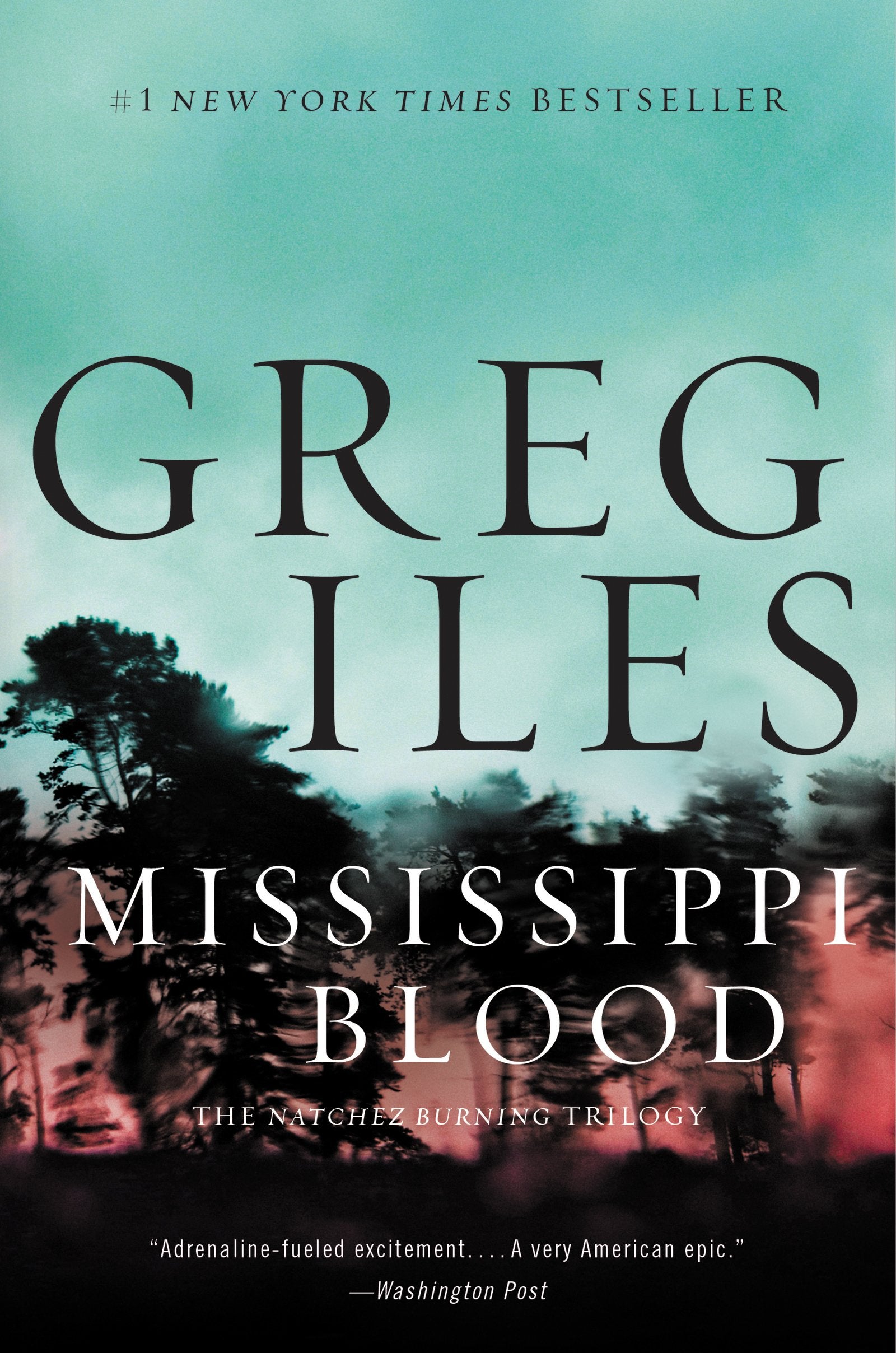 Mississippi Blood: A Novel (Penn Cage, 6) used book depot