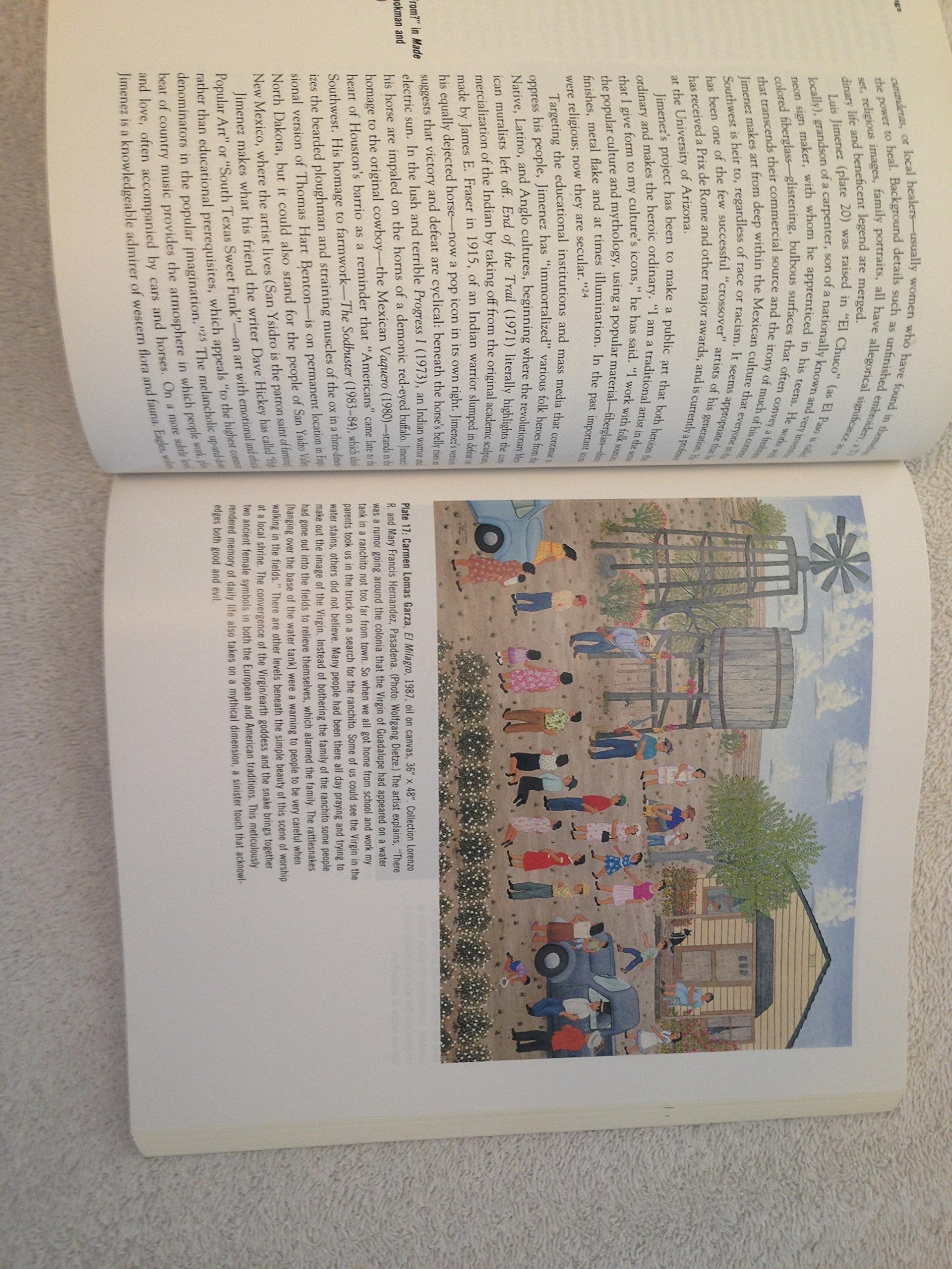 Mixed Blessings: New Art in a Multicultural America used book depot