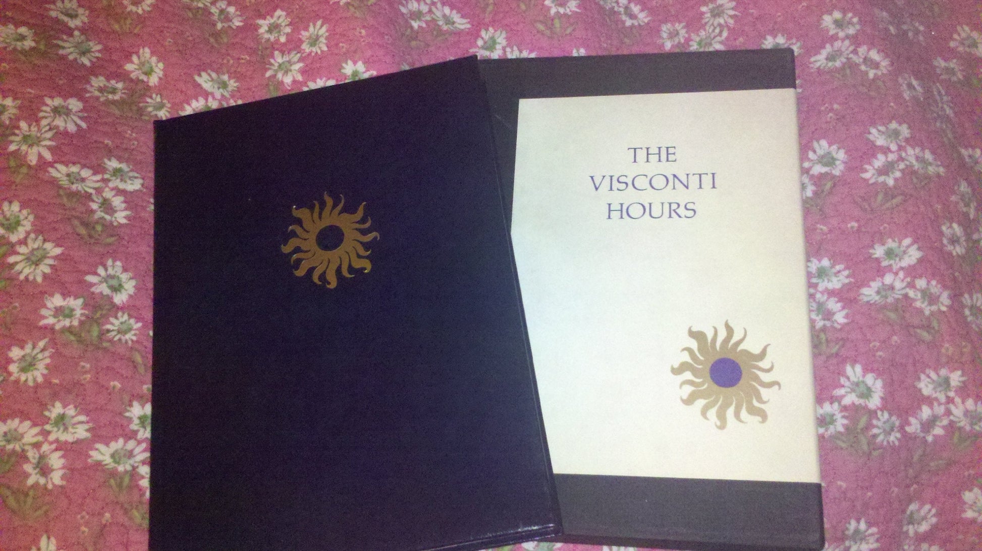 The Visconti Hours used book depot