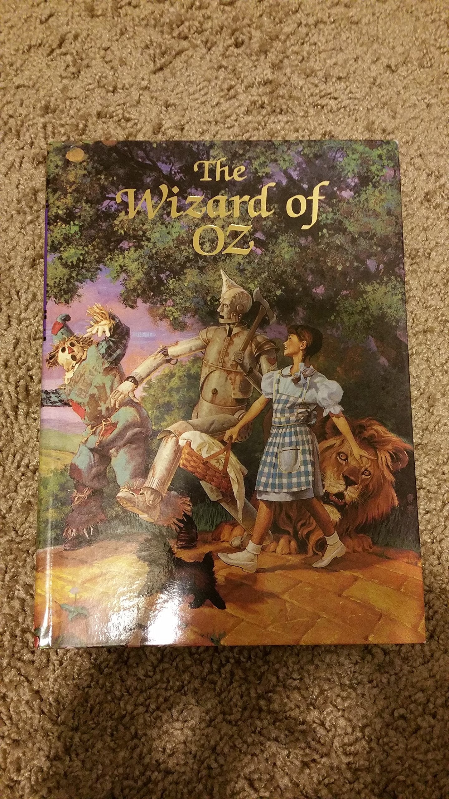 The Wizard of Oz (Illustrated Junior Library) used book depot