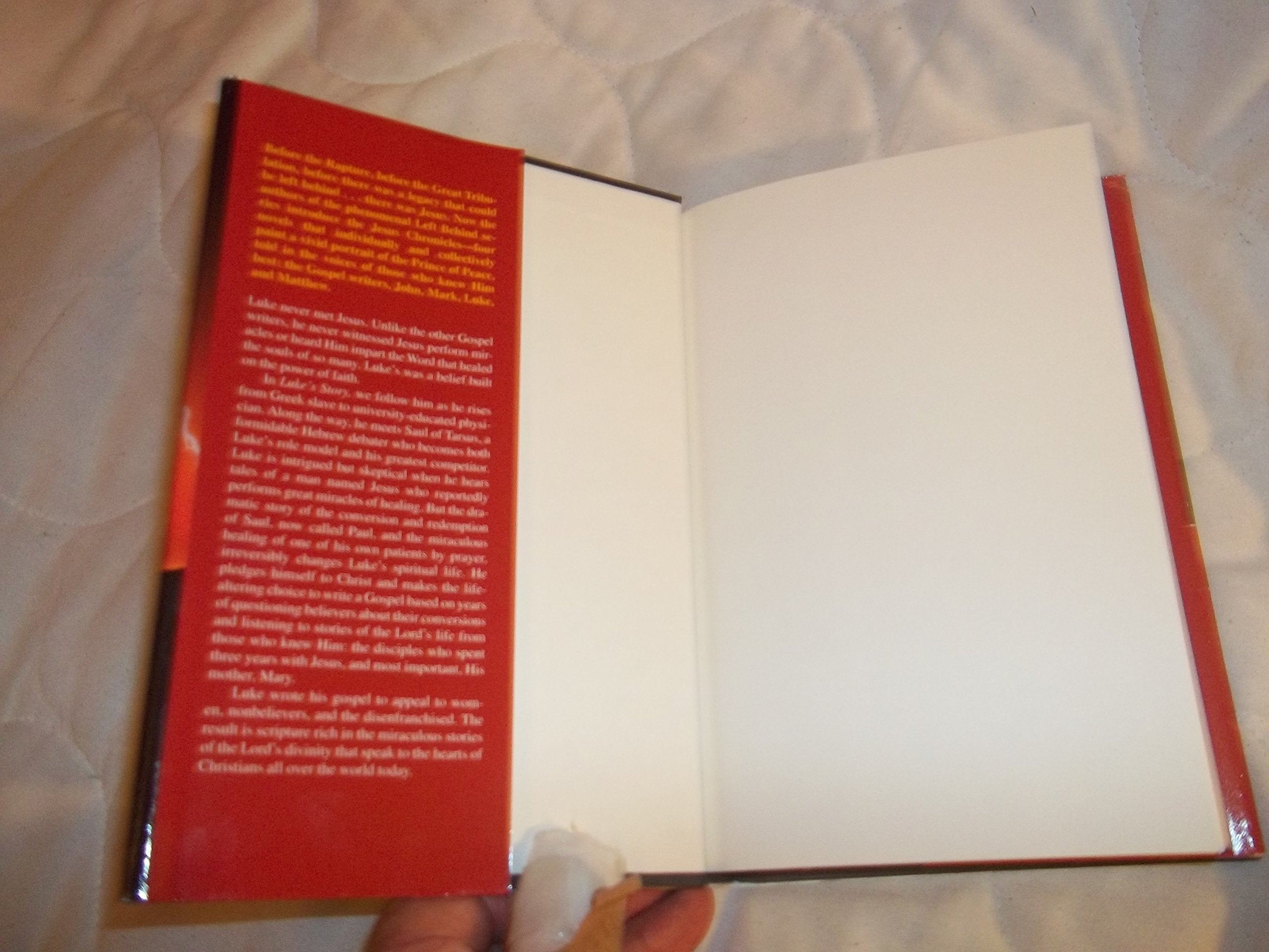 Luke's Story (The Jesus Chronicles) used book depot
