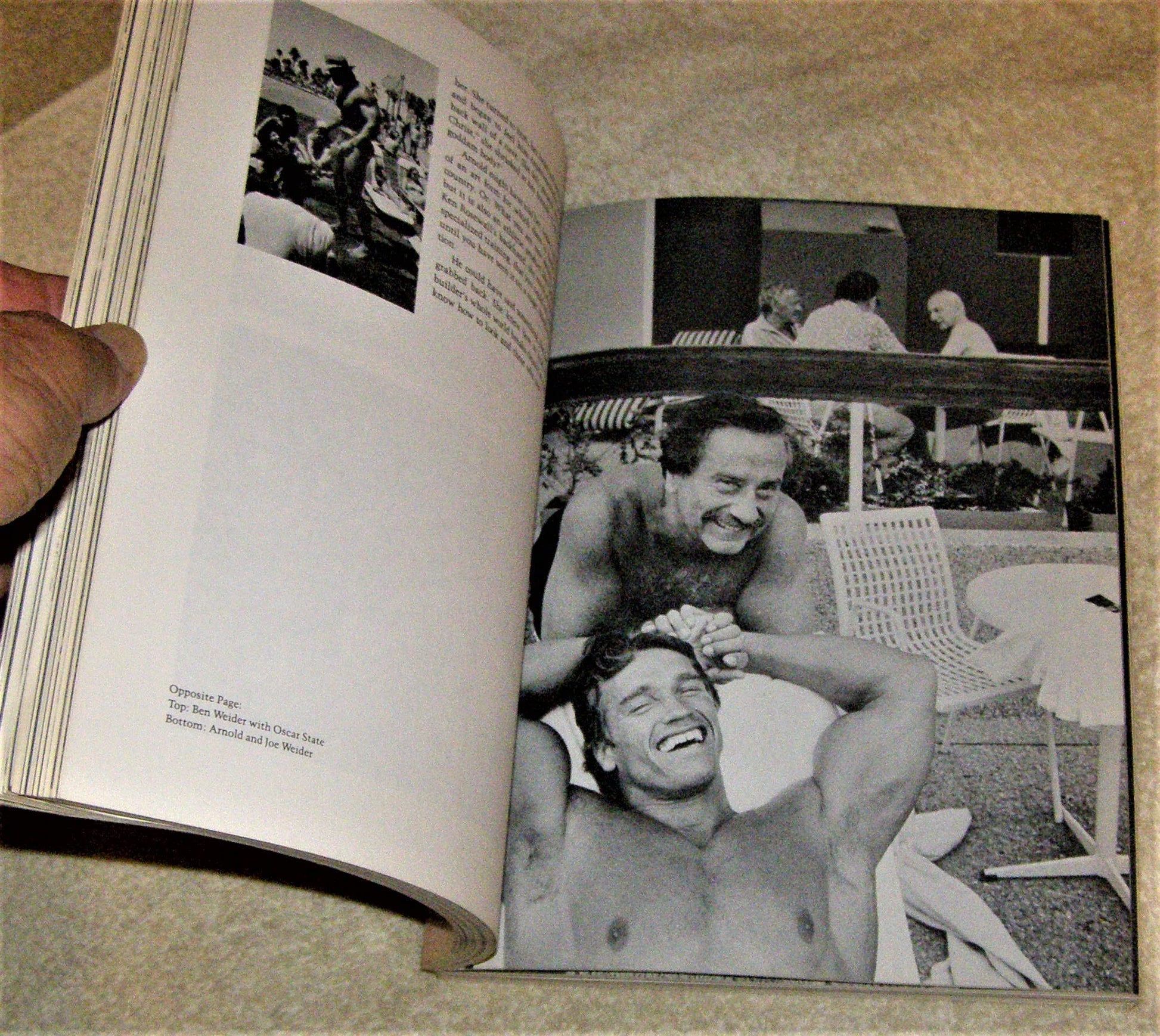 Pumping Iron: The Art and Sport of Bodybuilding used book depot