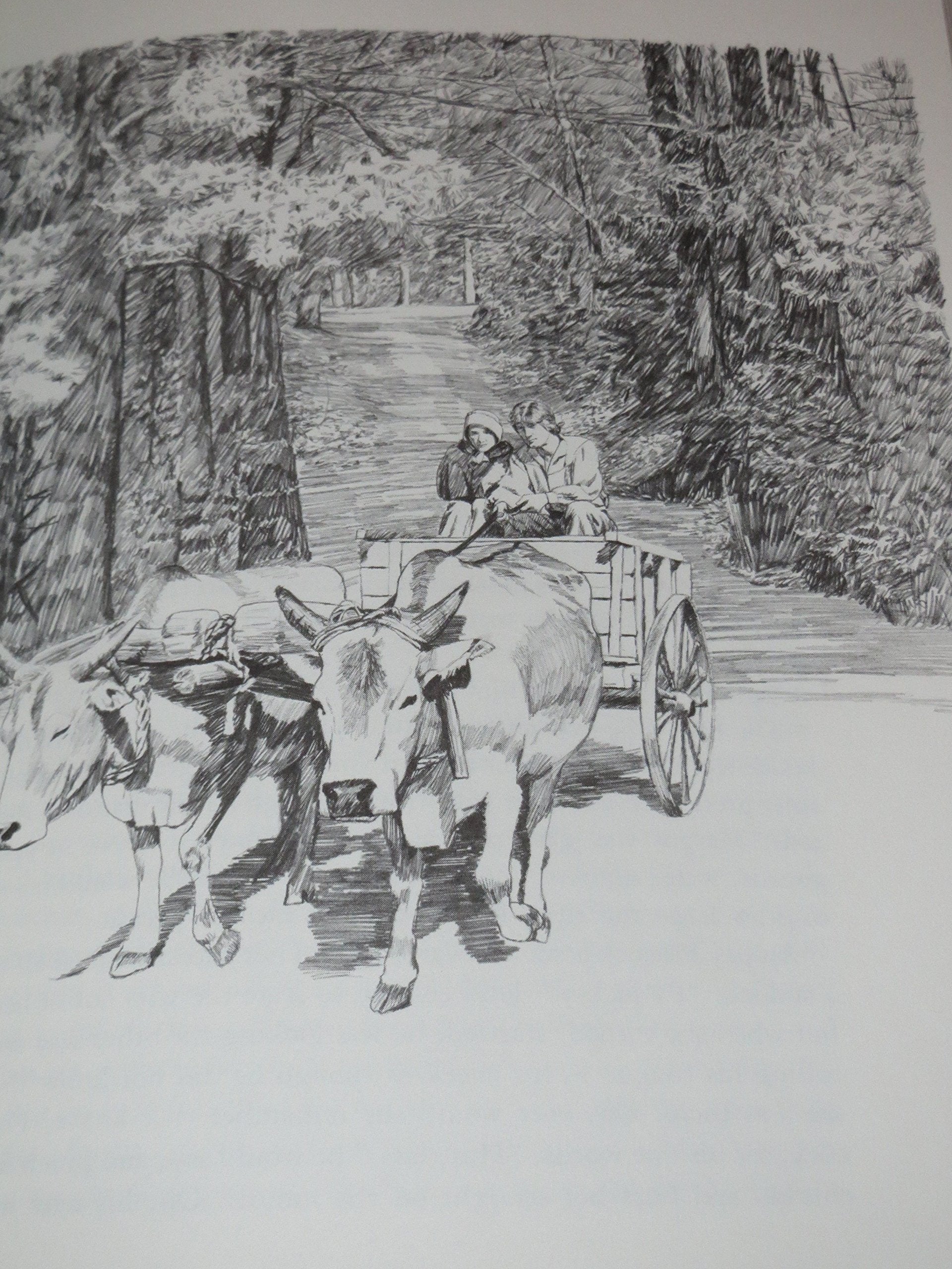 Lamb in His Bosom used book depot