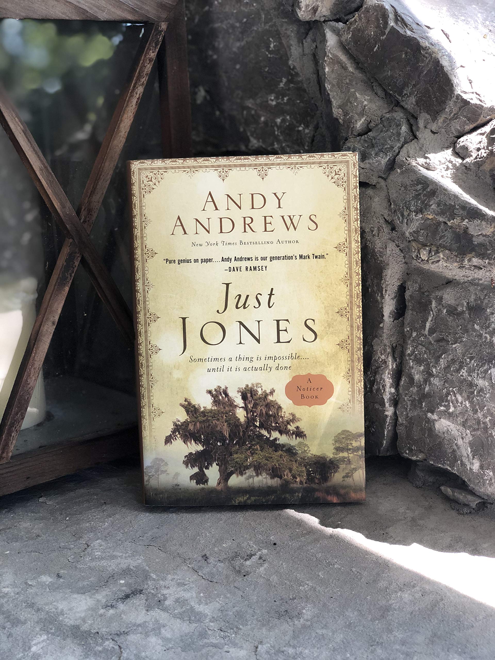 Just Jones: Sometimes a Thing Is Impossible . . . Until It Is Actually Done (A Noticer Book) used book depot