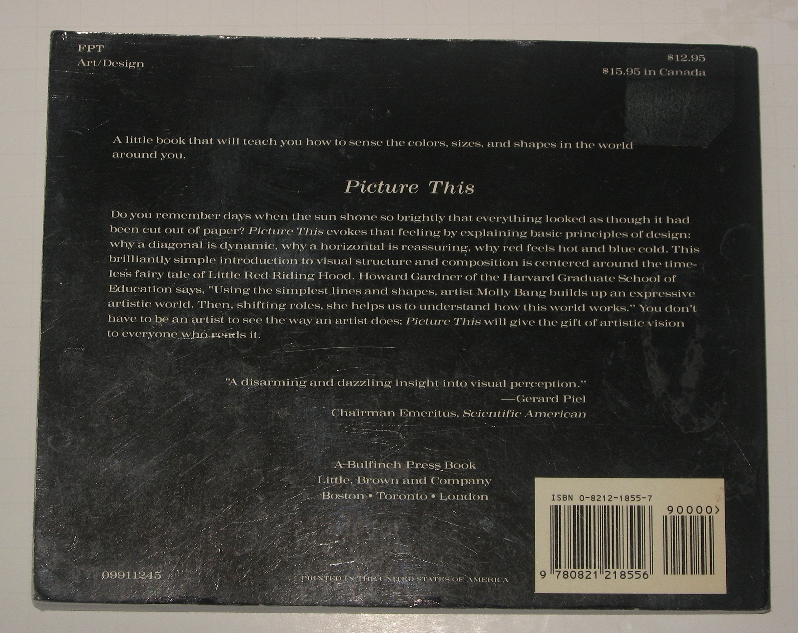Picture This: Perception & Composition used book depot