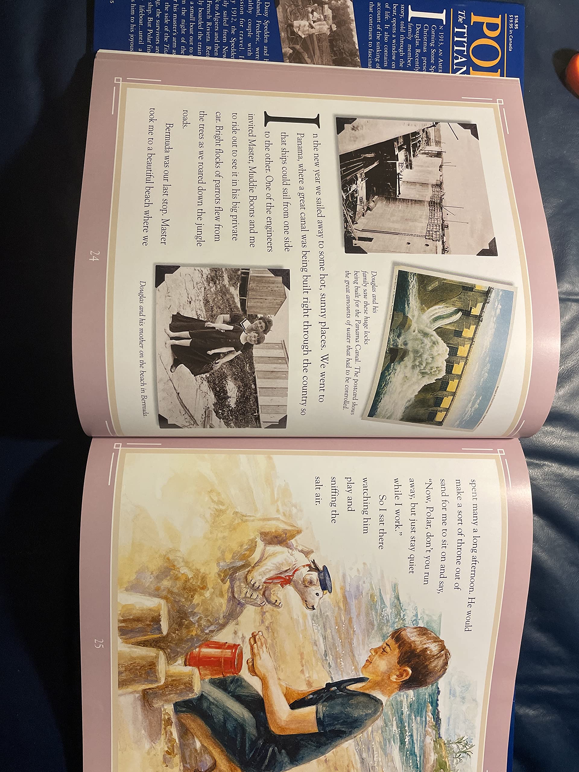 Polar the Titanic Bear used book depot