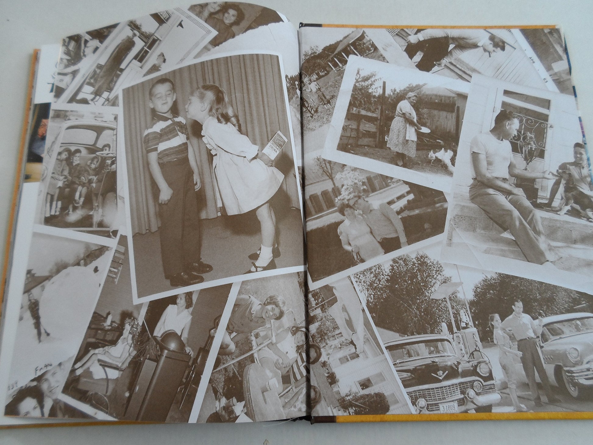 Reminisce Pictures From The Past 2015 used book depot