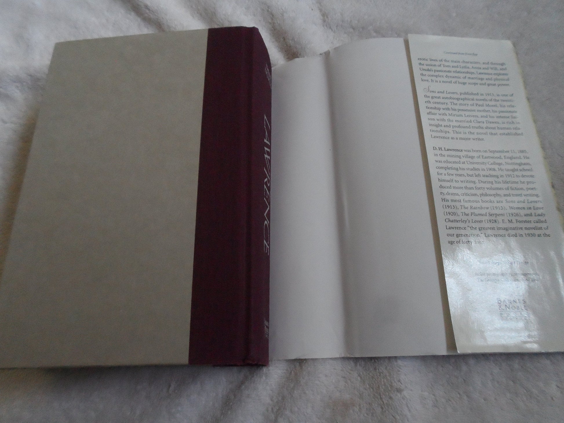 D.H. Lawrence, three complete novels: Lady Chatterley's lover, The Rainbow, Sons and lovers used book depot