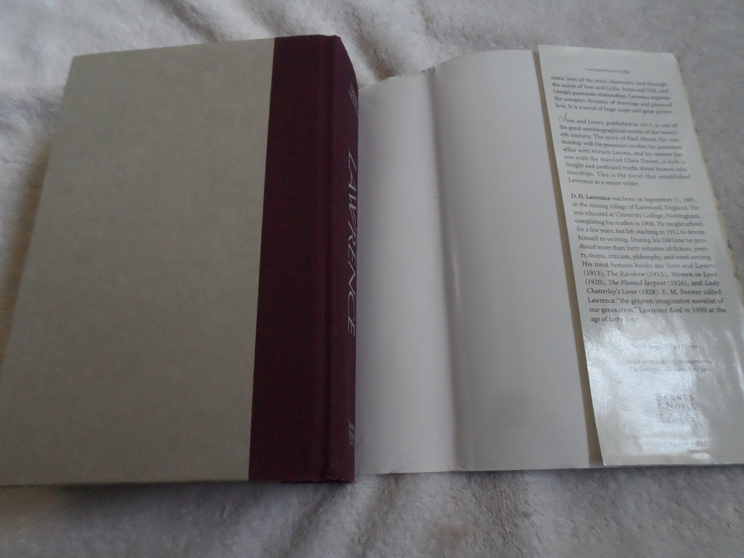 D.H. Lawrence, three complete novels: Lady Chatterley's lover, The Rainbow, Sons and lovers used book depot