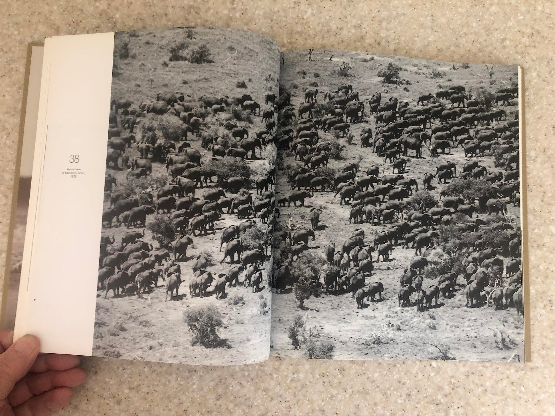 The Adventures and Misadventures of Peter Beard in Africa used book depot