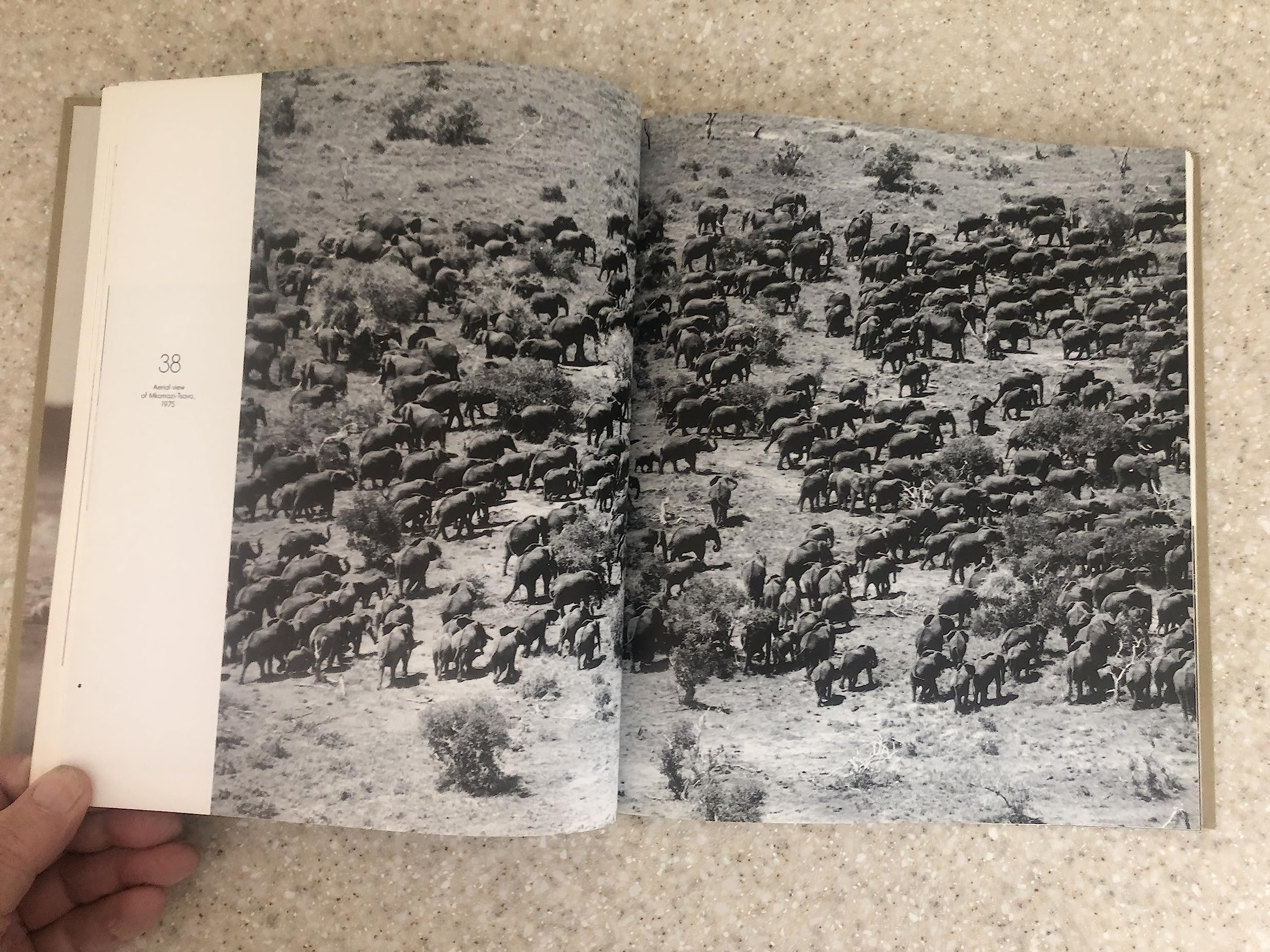 The Adventures and Misadventures of Peter Beard in Africa used book depot