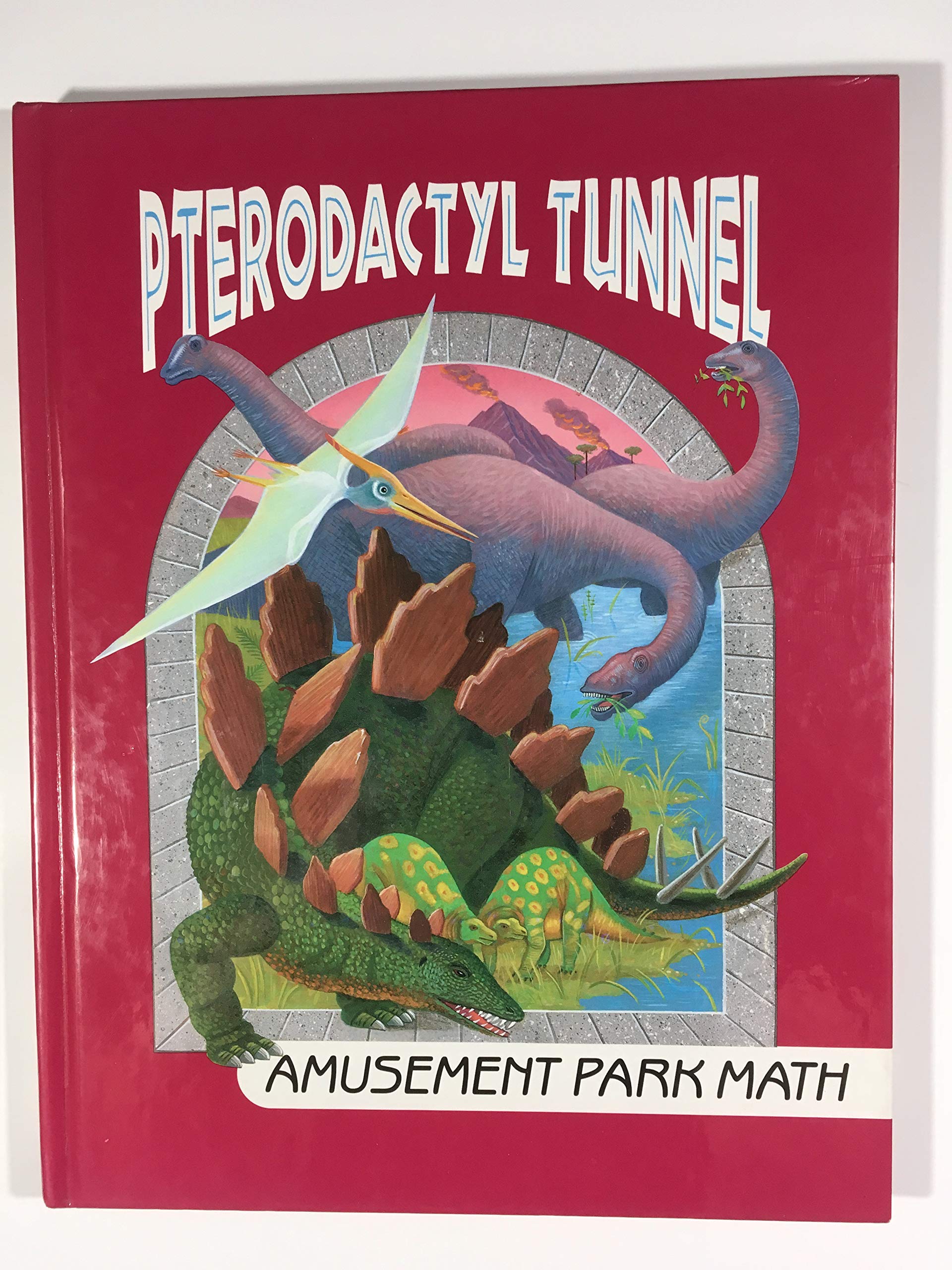 Pterodactyl Tunnel: Amusement Park Math (I Love Math, No 10) used book depot