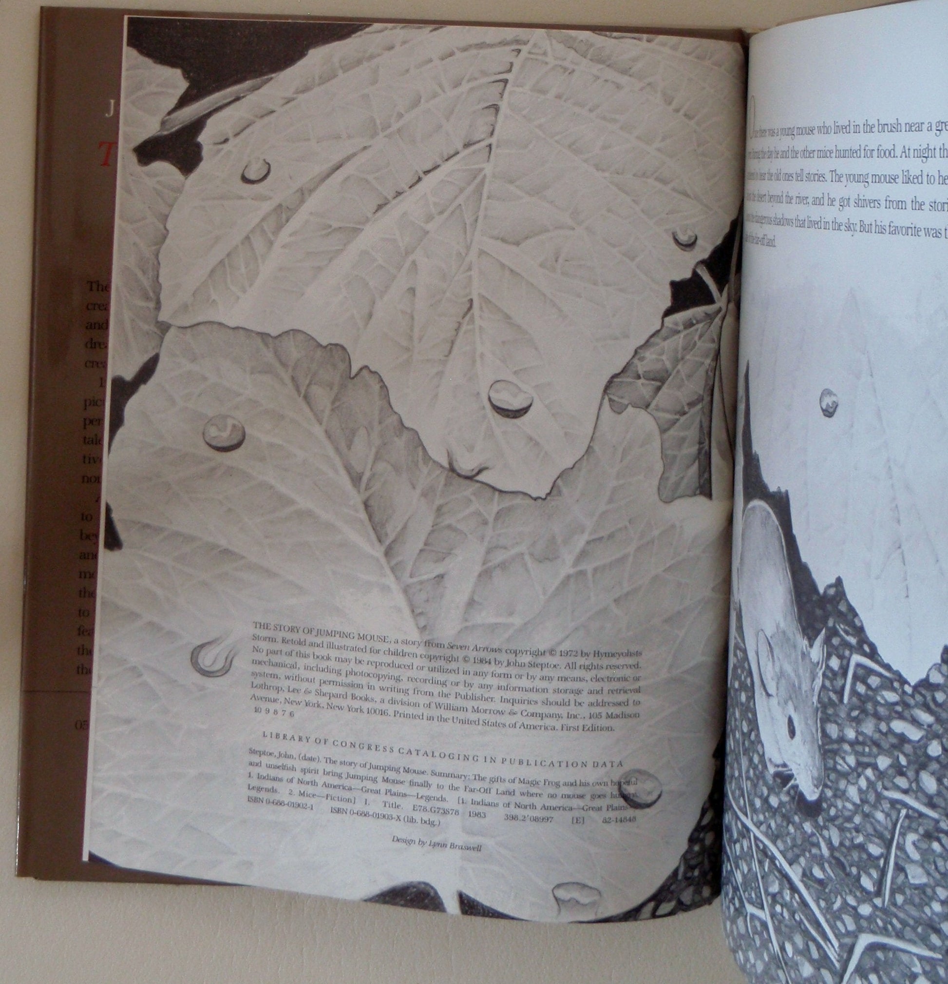 The Story of Jumping Mouse: A Caldecott Honor Award Winner used book depot