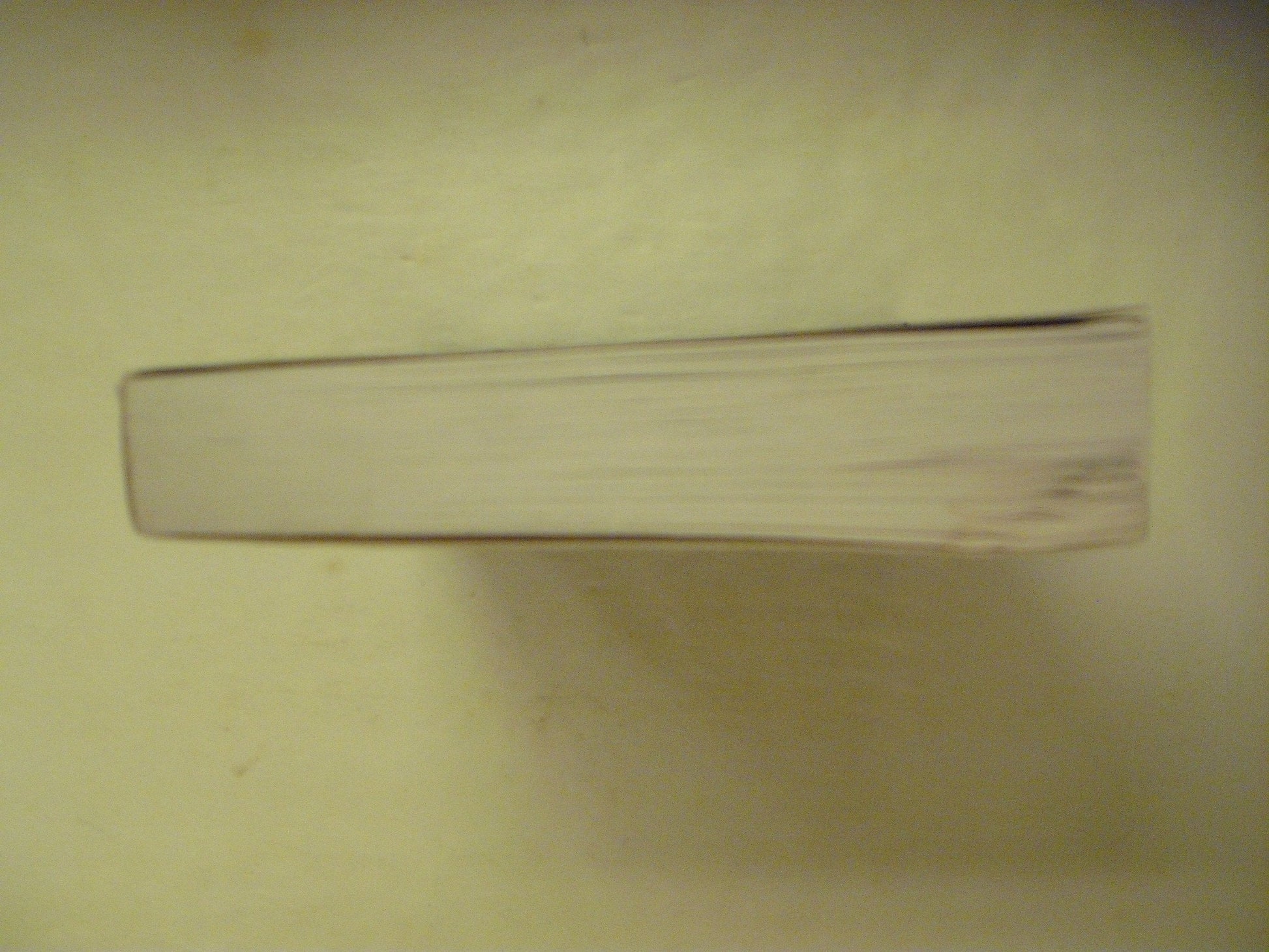 The Fallen: A Novel used book depot