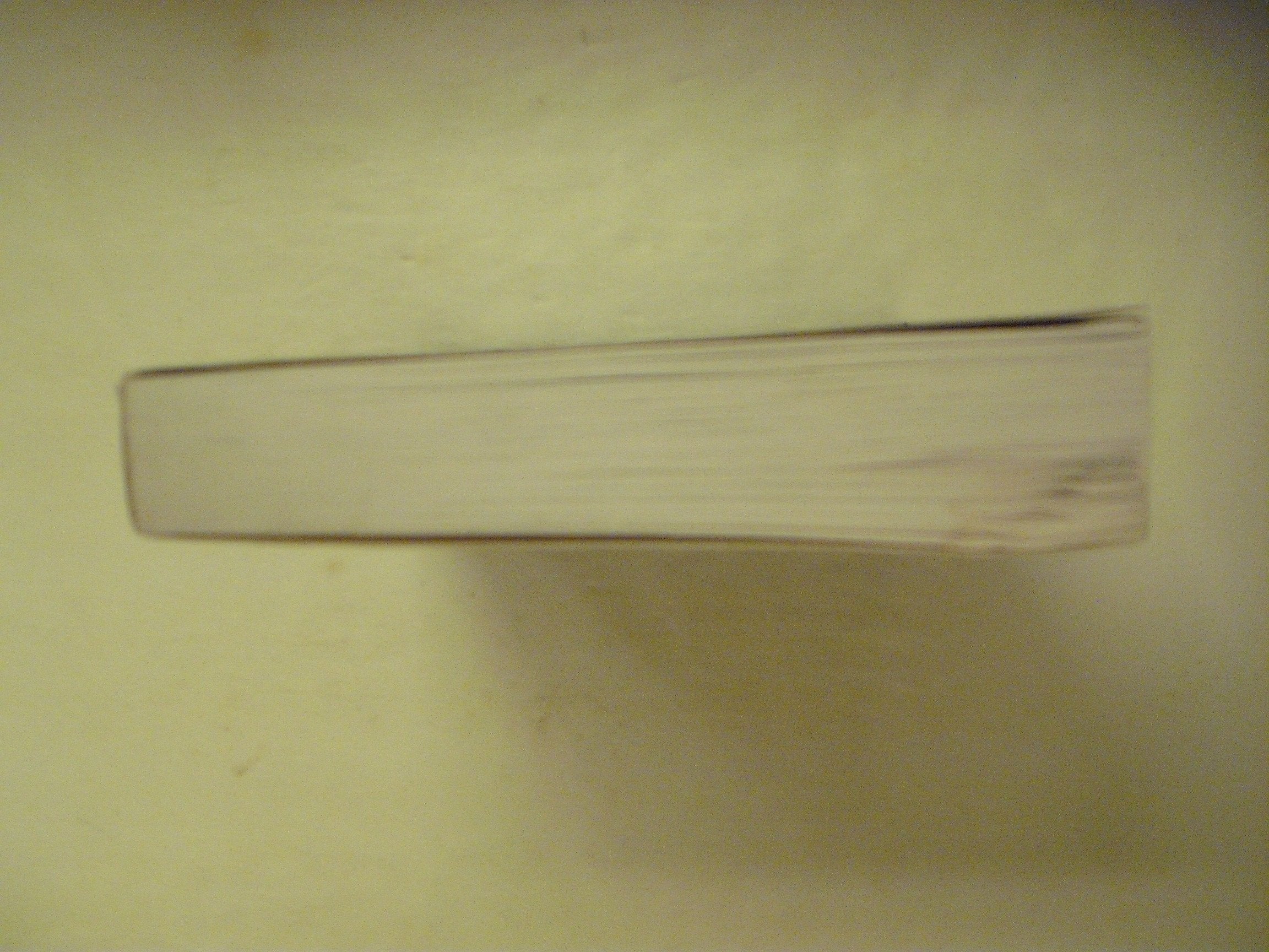 The Fallen: A Novel used book depot