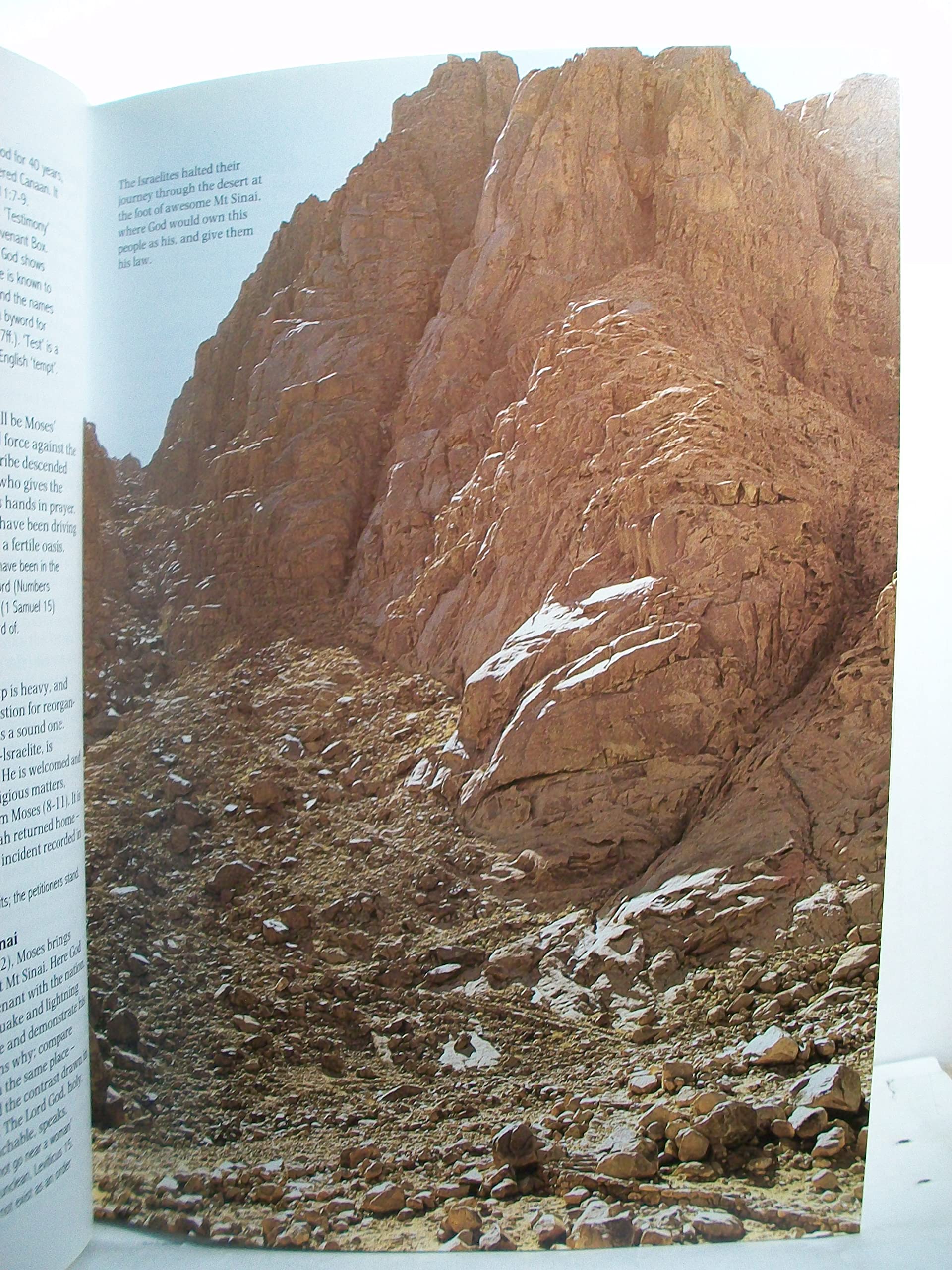 Zondervan Handbook to the Bible, Revised Edition used book depot