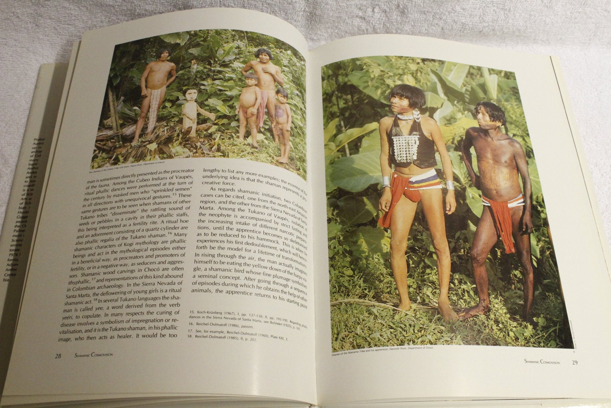 Goldwork and Shamanism An Iconographic Study of the Gold Museum used book depot
