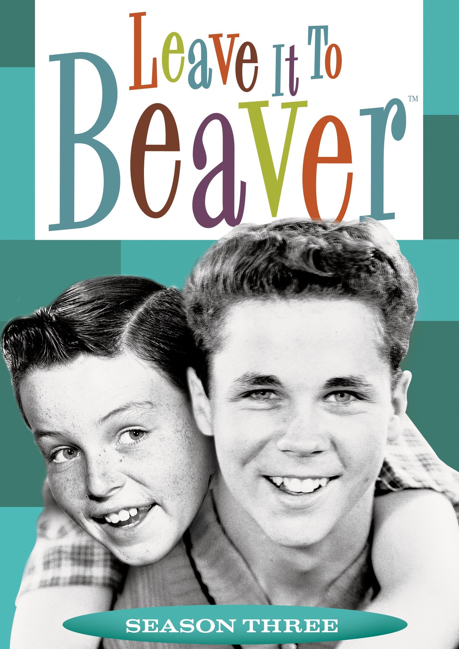 Leave it to Beaver: Season 3 used book depot