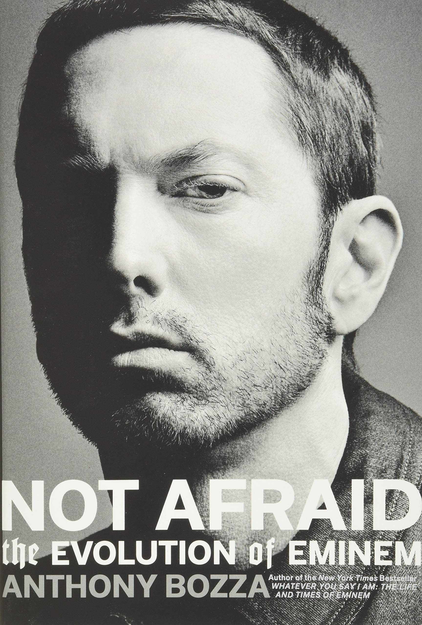 Not Afraid: The Evolution of Eminem used book depot