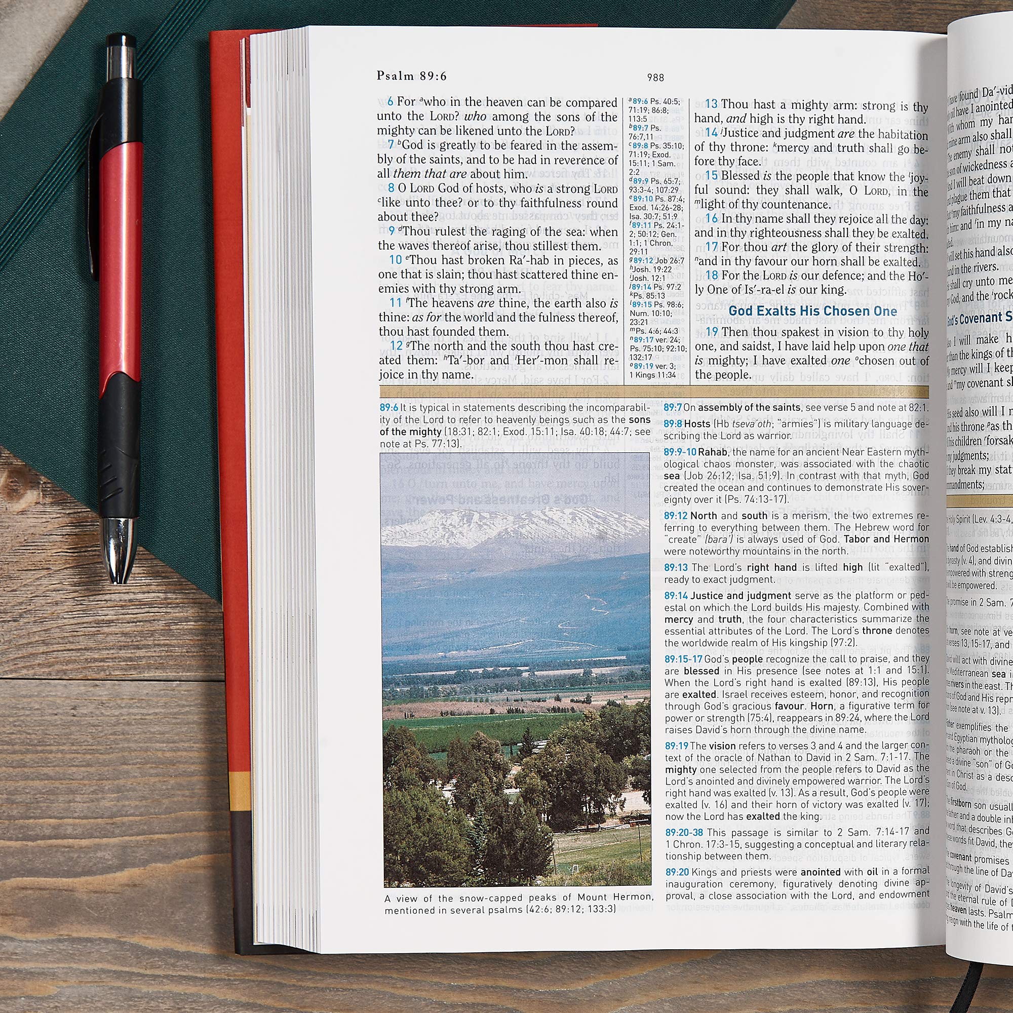 KJV Study Bible