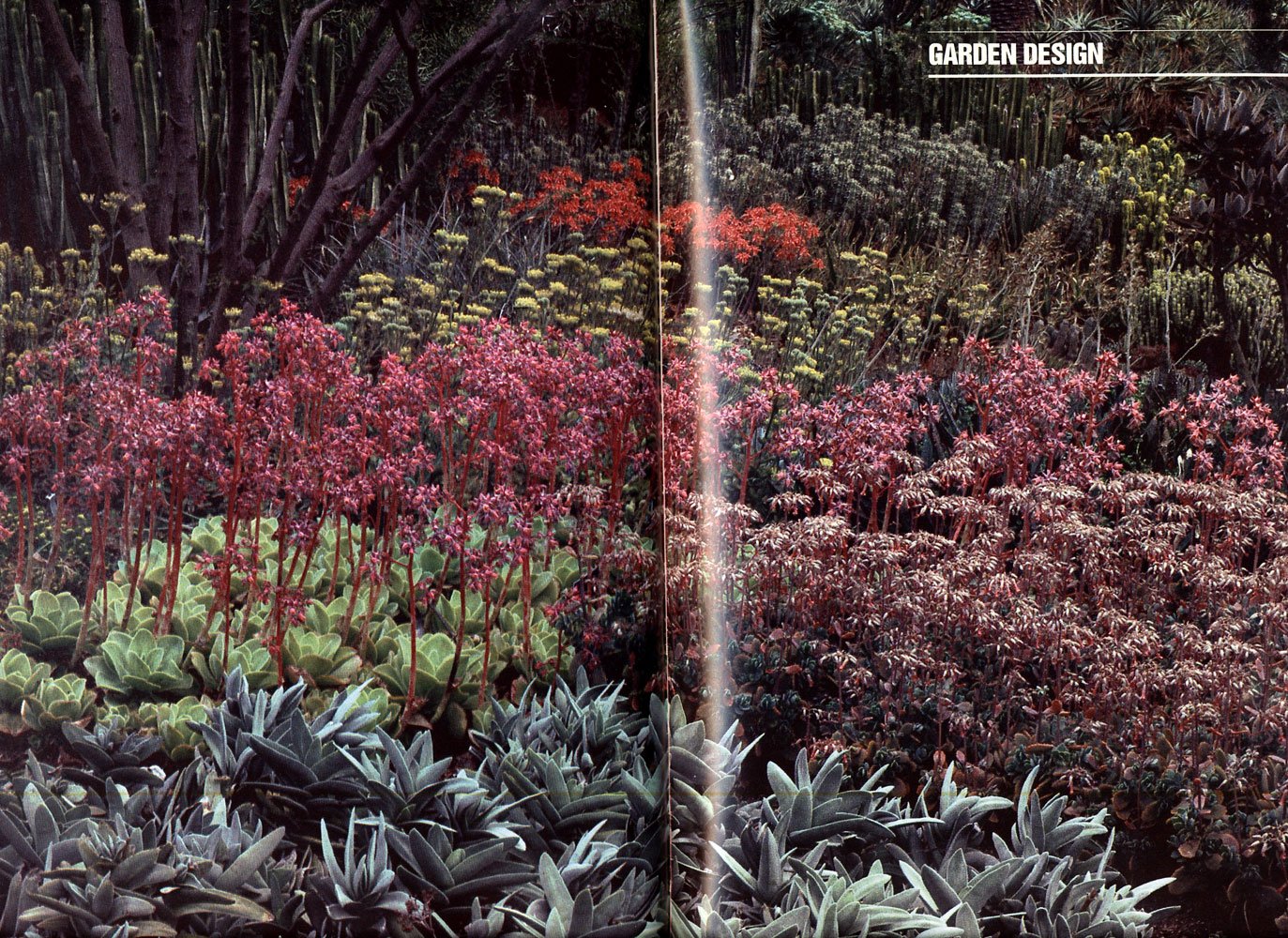AMERICAN GARDEN GUIDES: Dry Climate Gardening with Succulents used book depot
