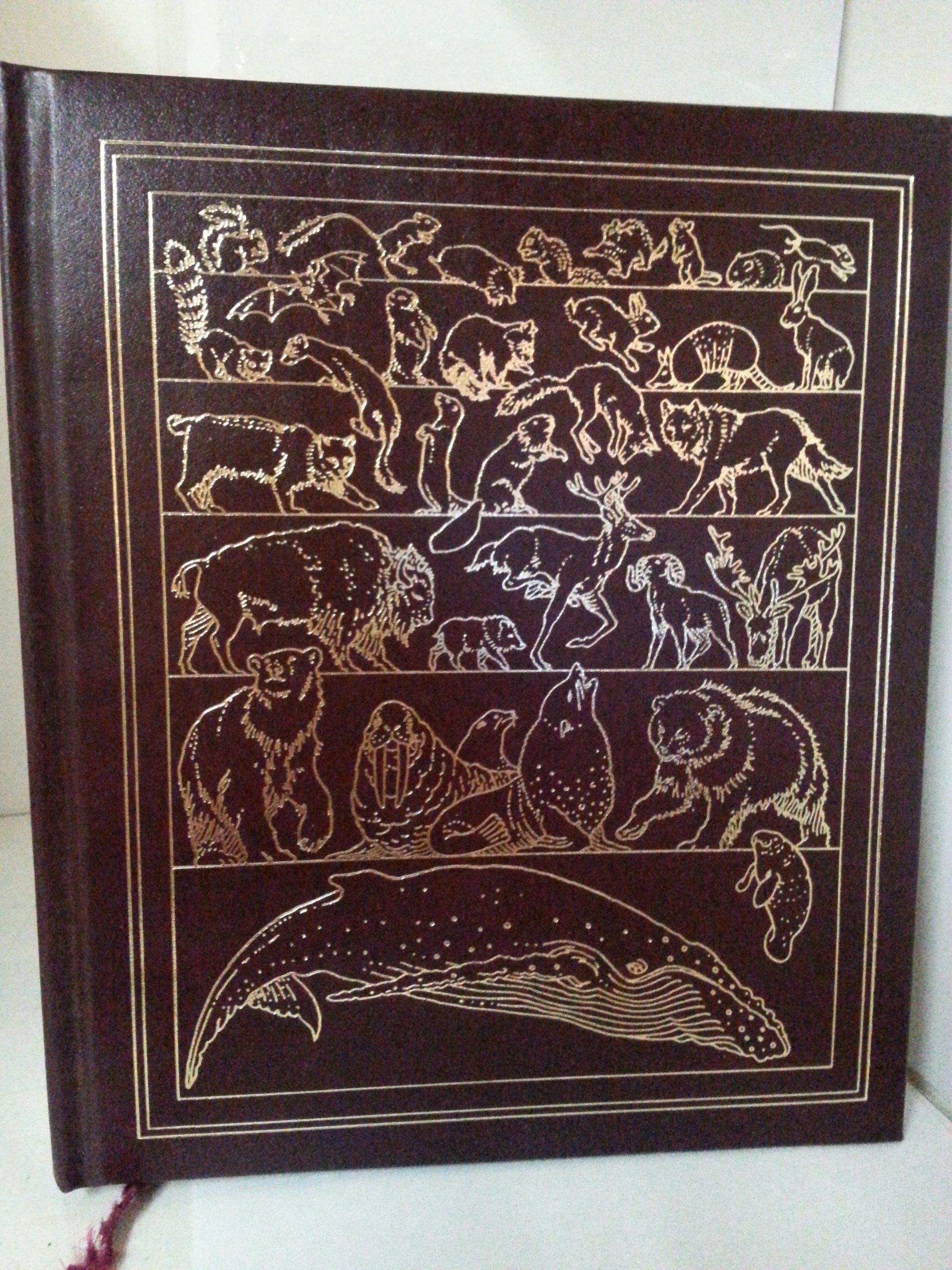 Wild Animals of North America (Natural Science Library) used book depot