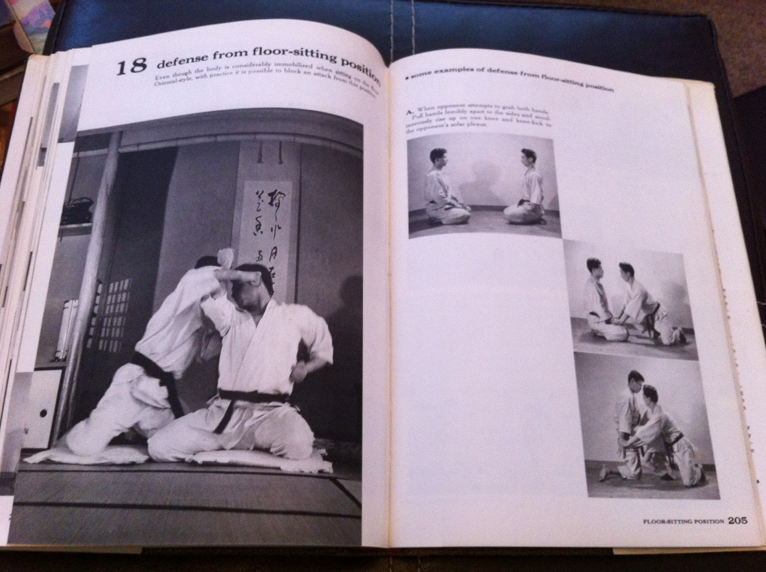 Karate: The Art of "Empty Hand" Fighting