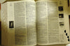 The American Heritage® College Dictionary, Fourth Edition