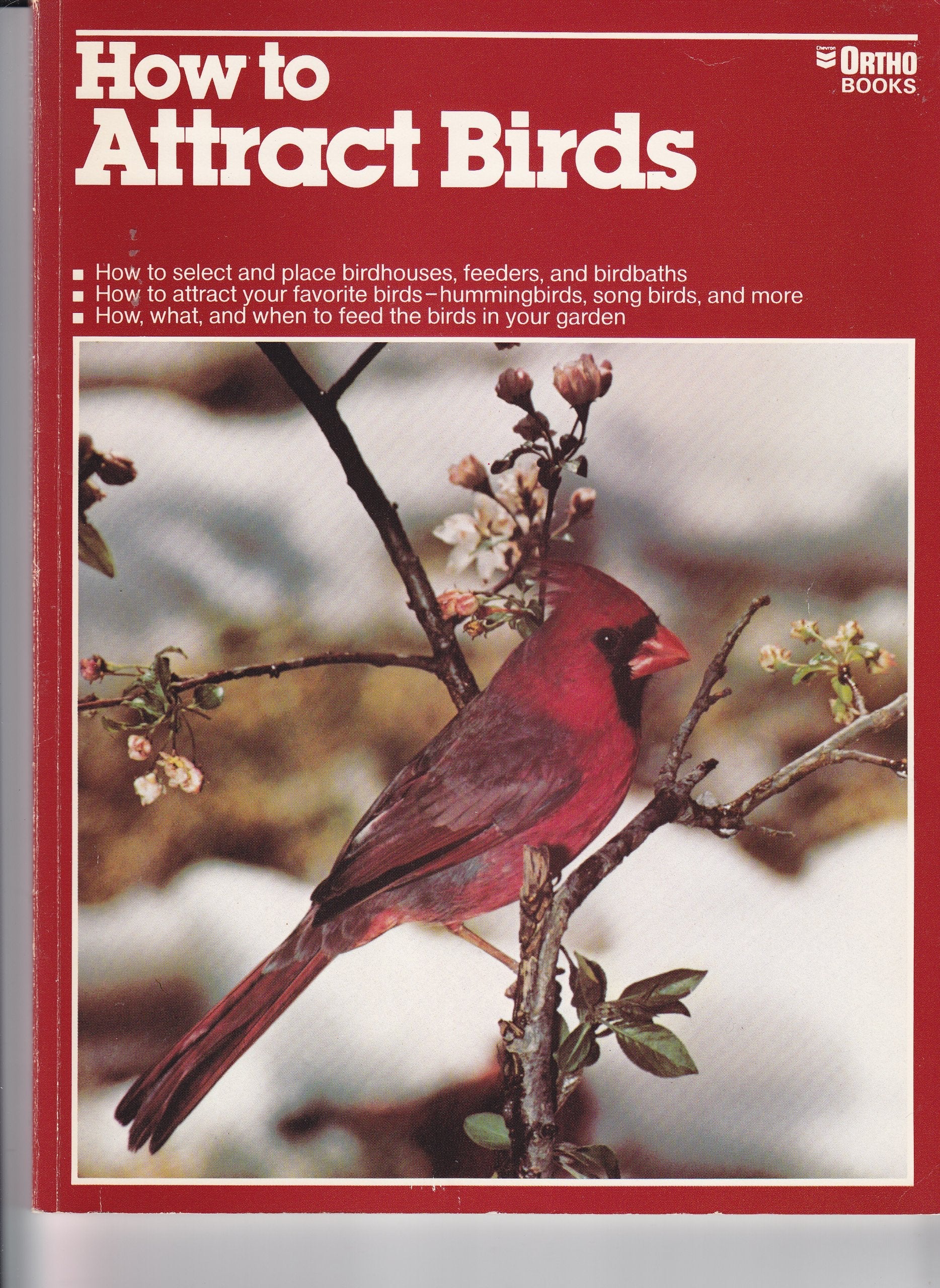 How to Attract Birds used book depot