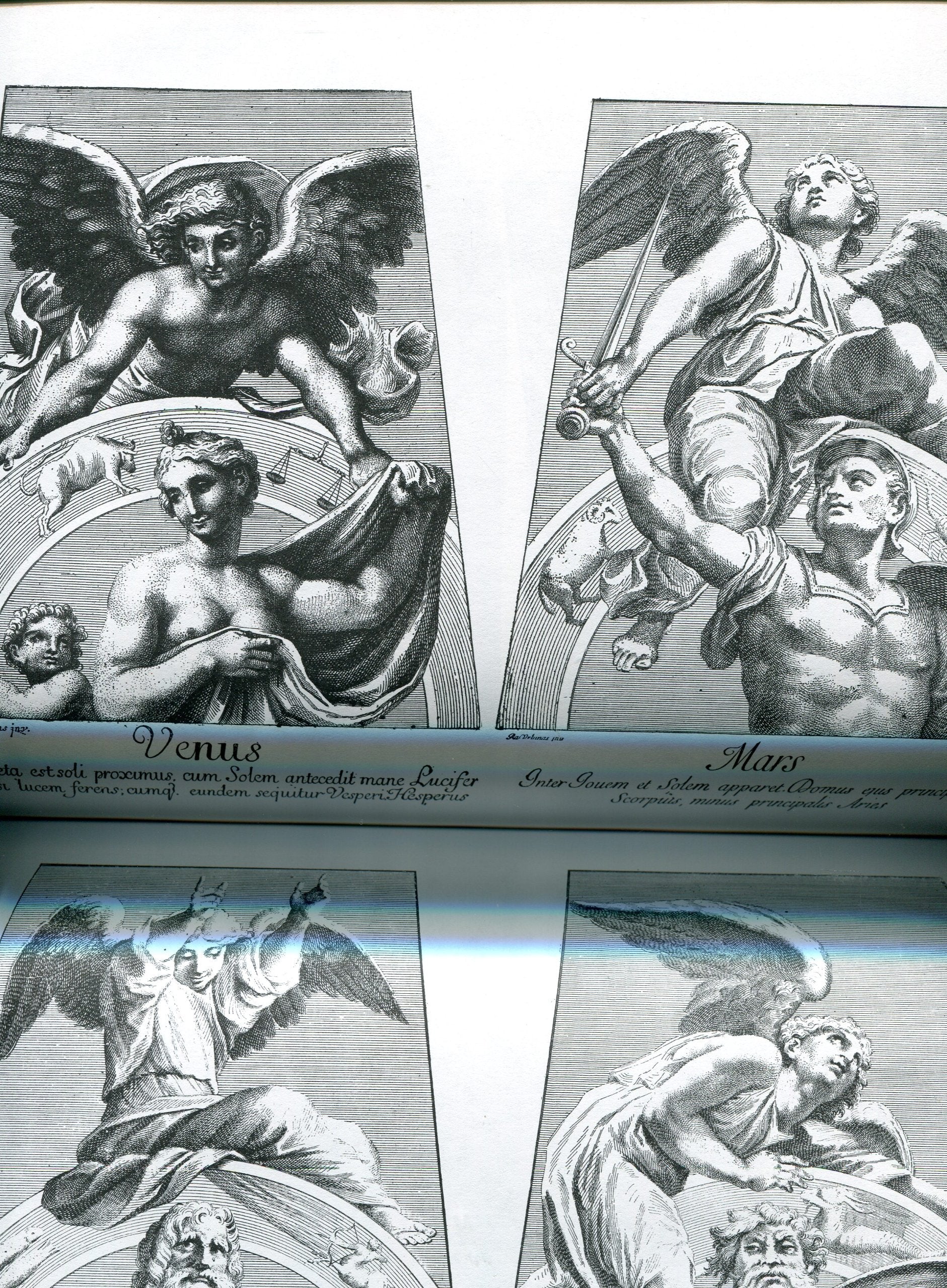 The Ultimate Angel Book used book depot