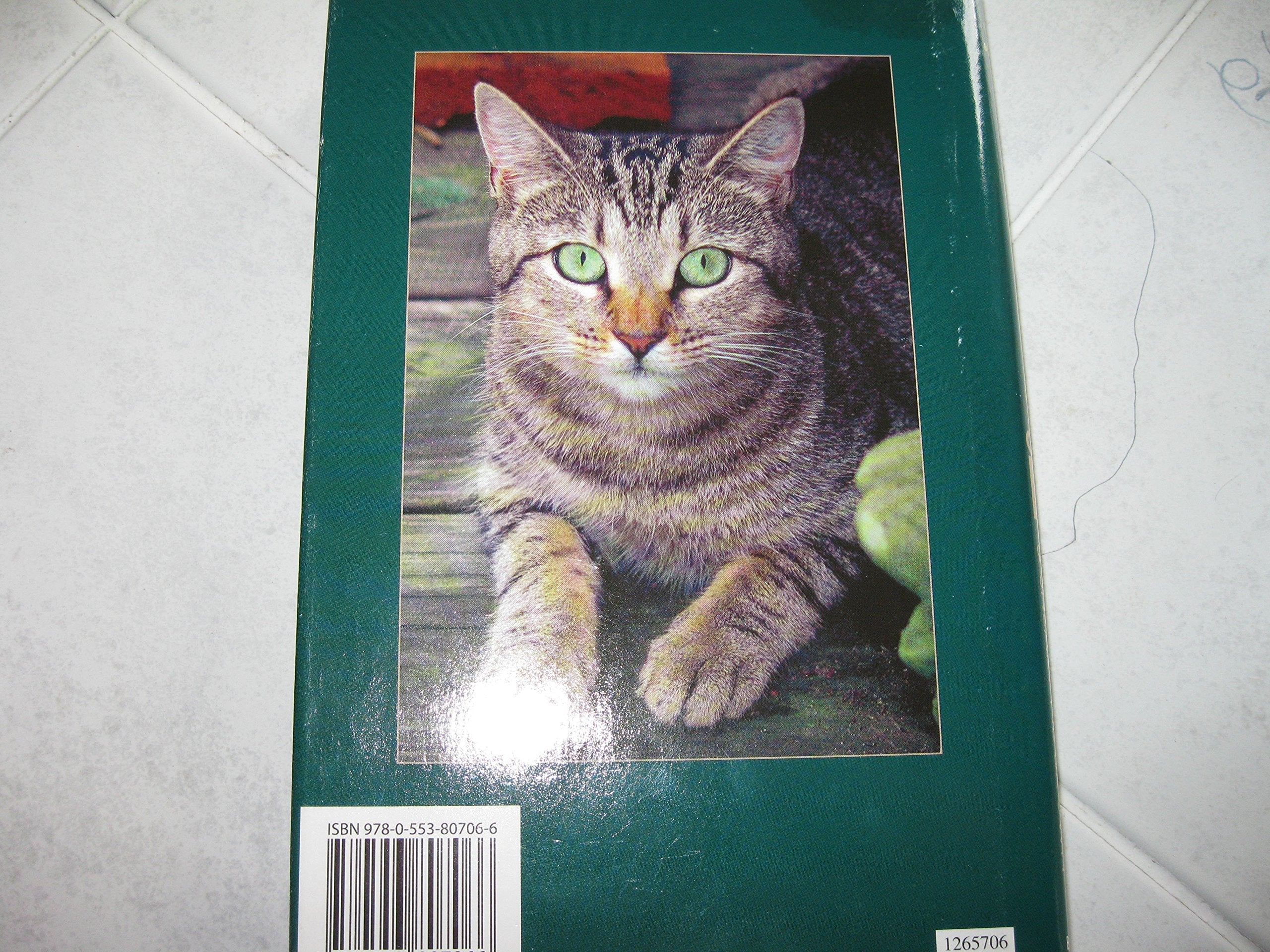 Santa Clawed used book depot