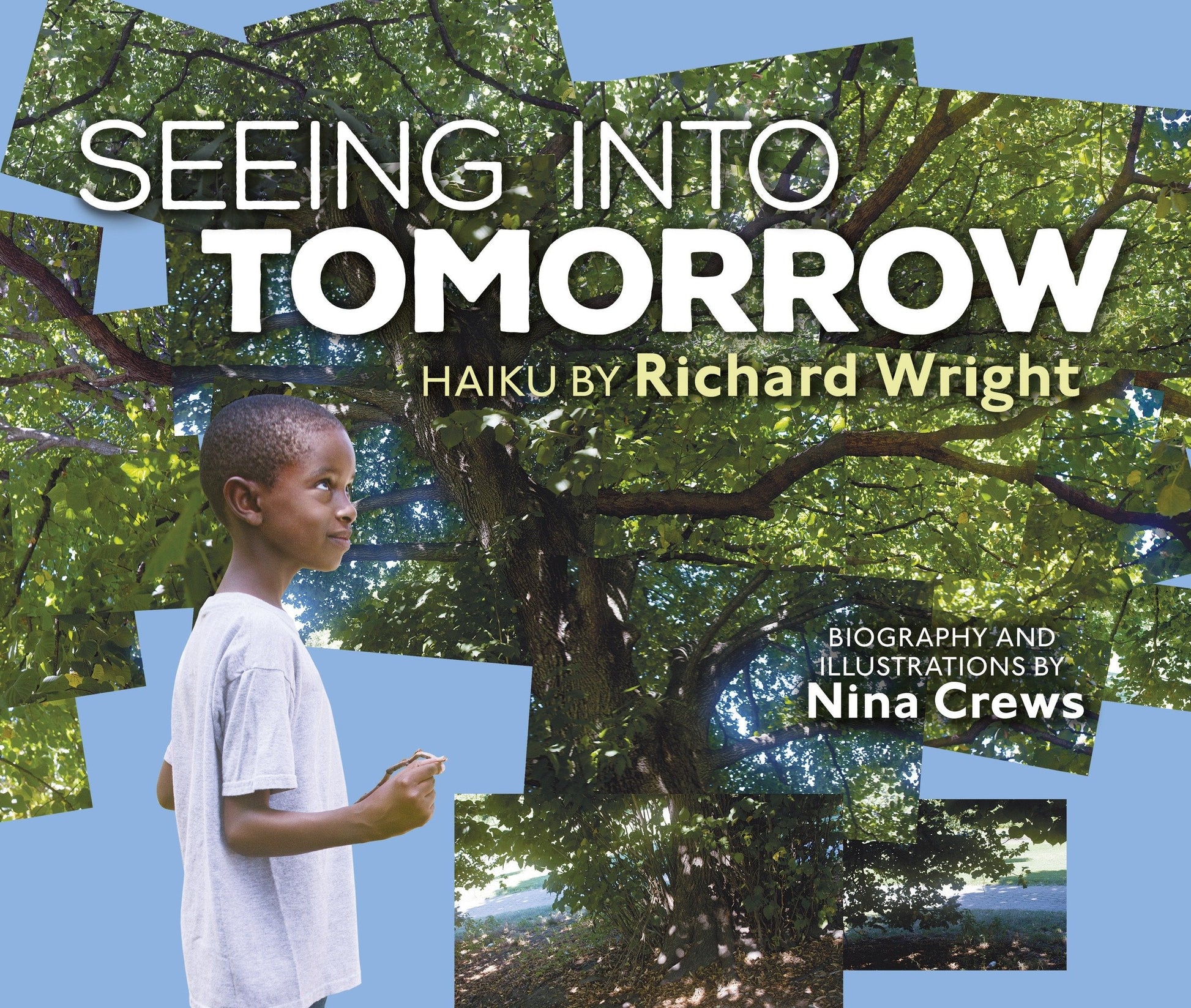 Seeing into Tomorrow: Haiku by Richard Wright used book depot