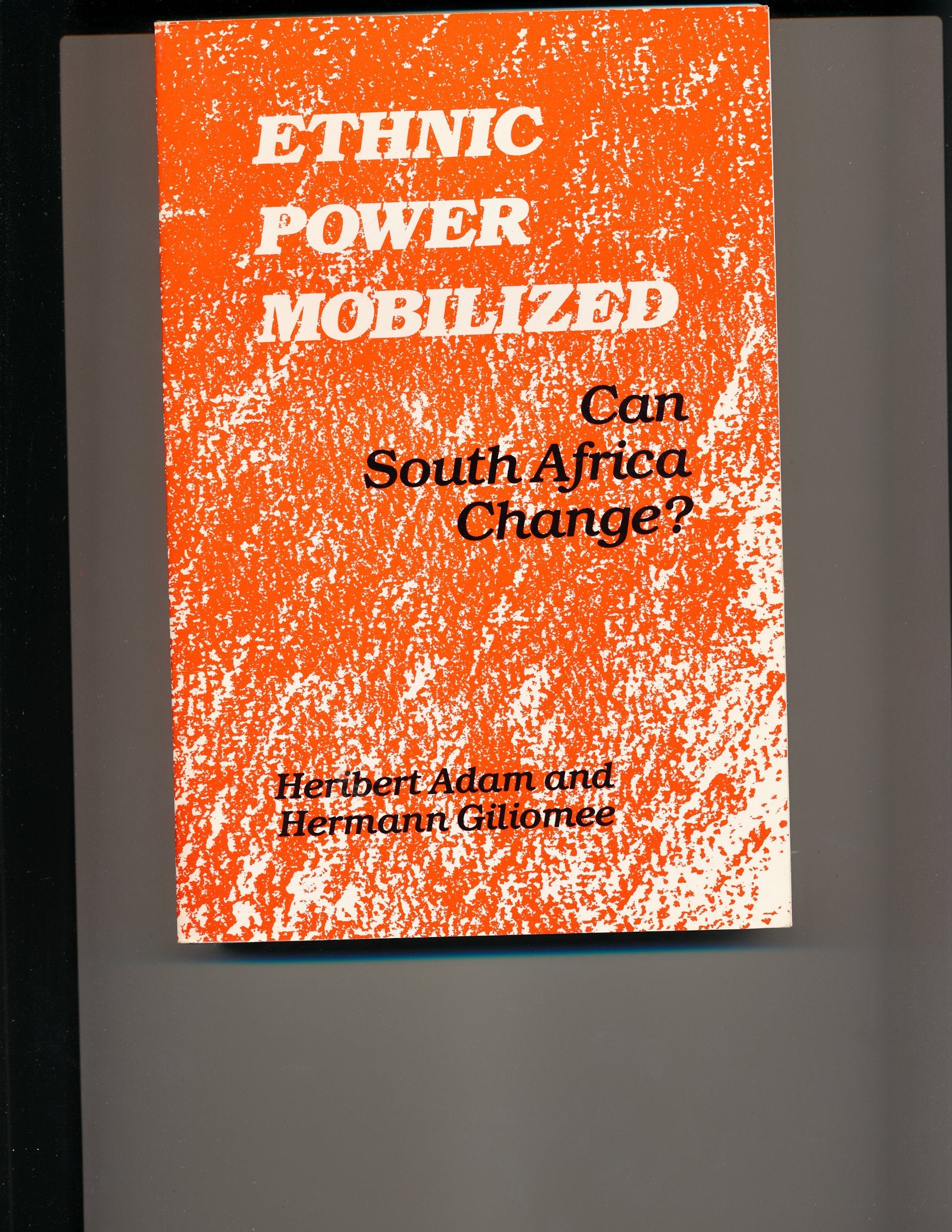 Ethnic Power Mobilized: Can South Africa Change? used book depot