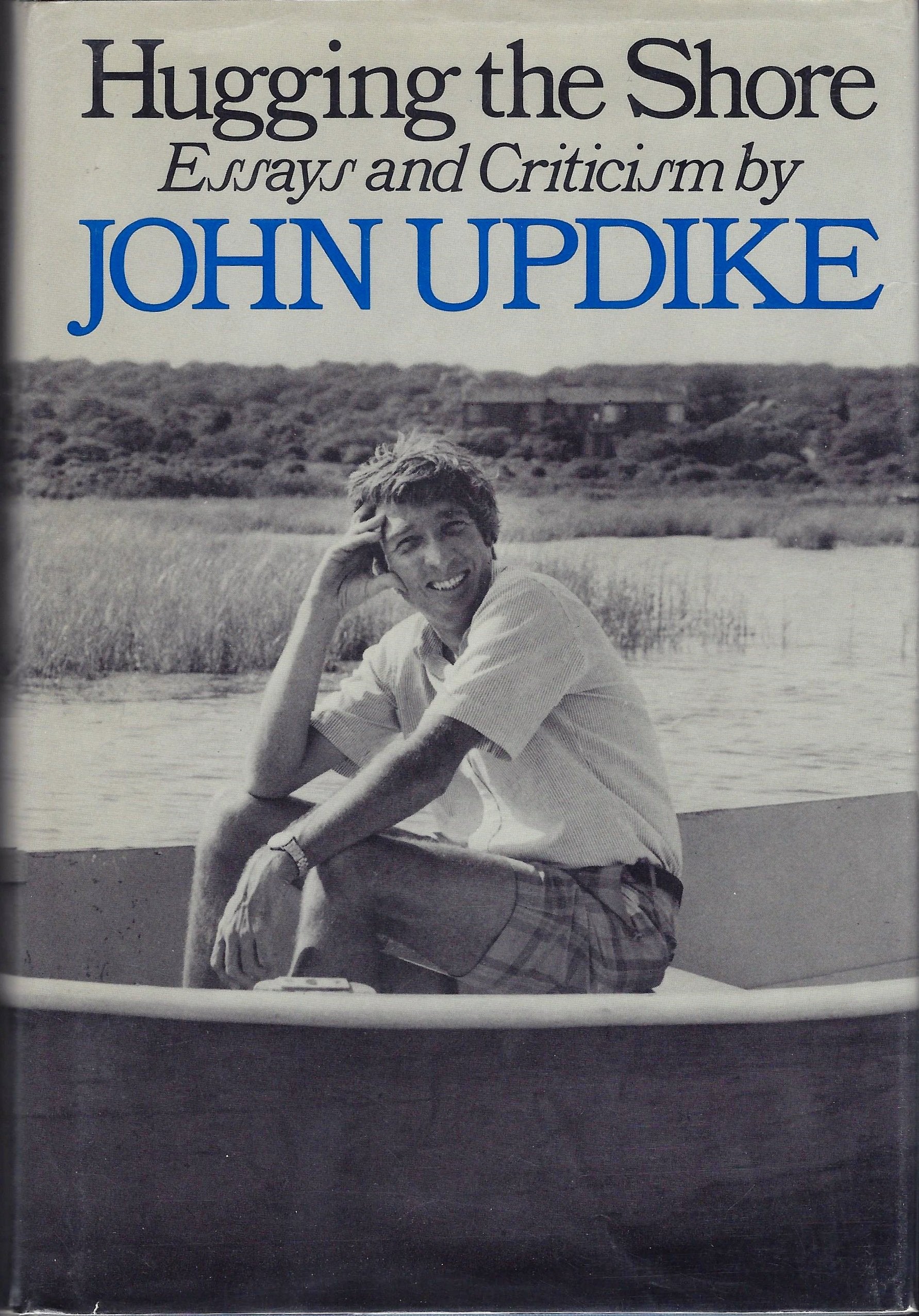 Hugging the Shore: Essays and Criticism used book depot