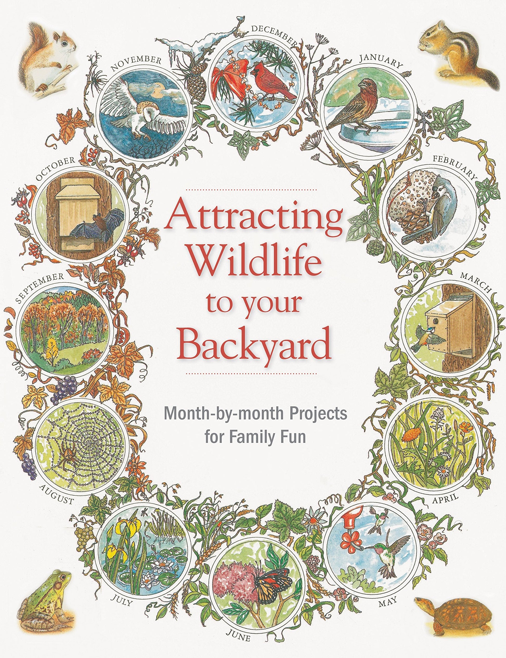 Attracting Wildlife to Your Backyard: Month-by-month projects for family fun (Backyard Birding) used book depot