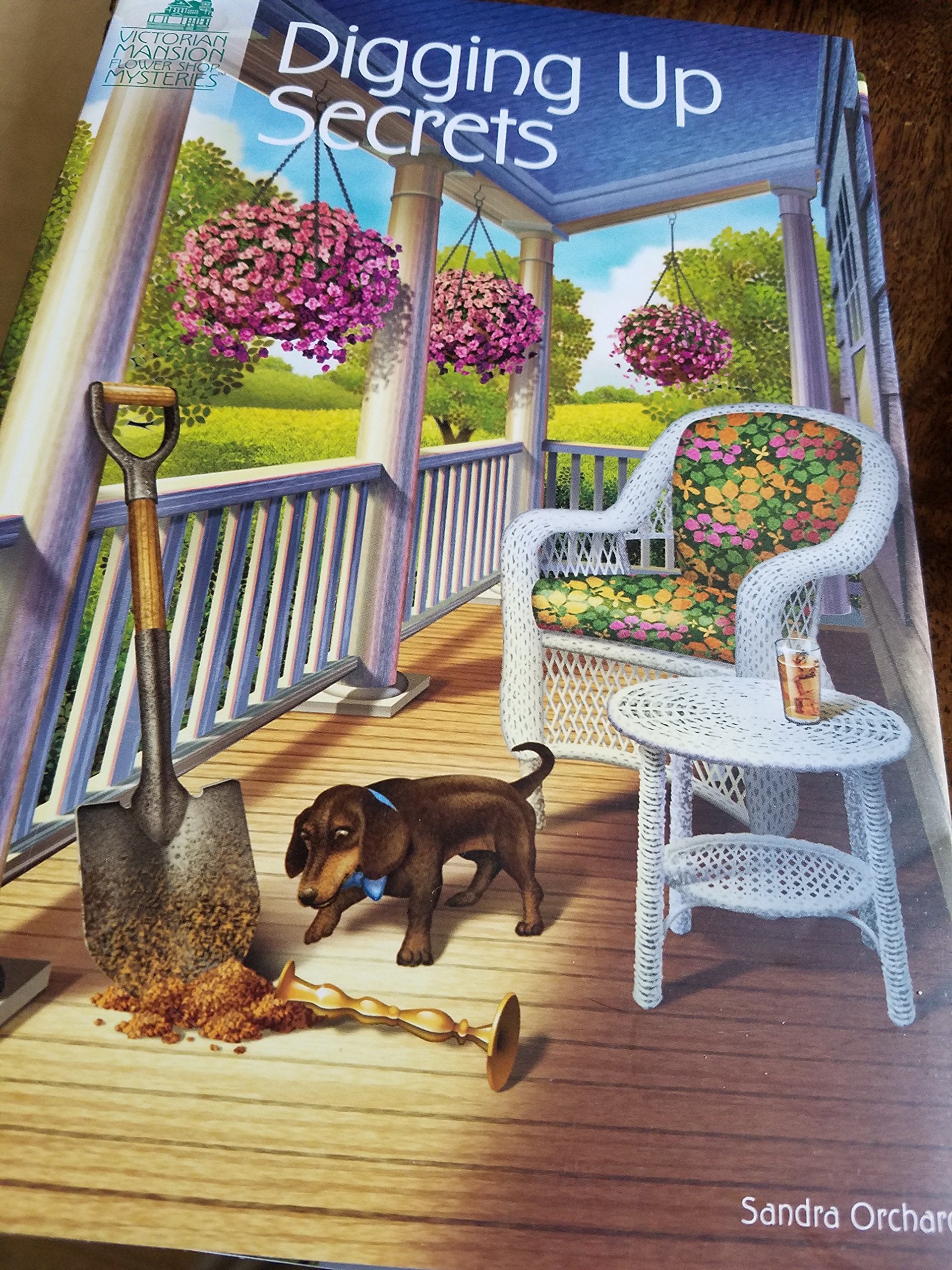 Digging Up Secrets used book depot