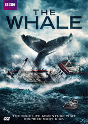 The Whale (DVD) used book depot