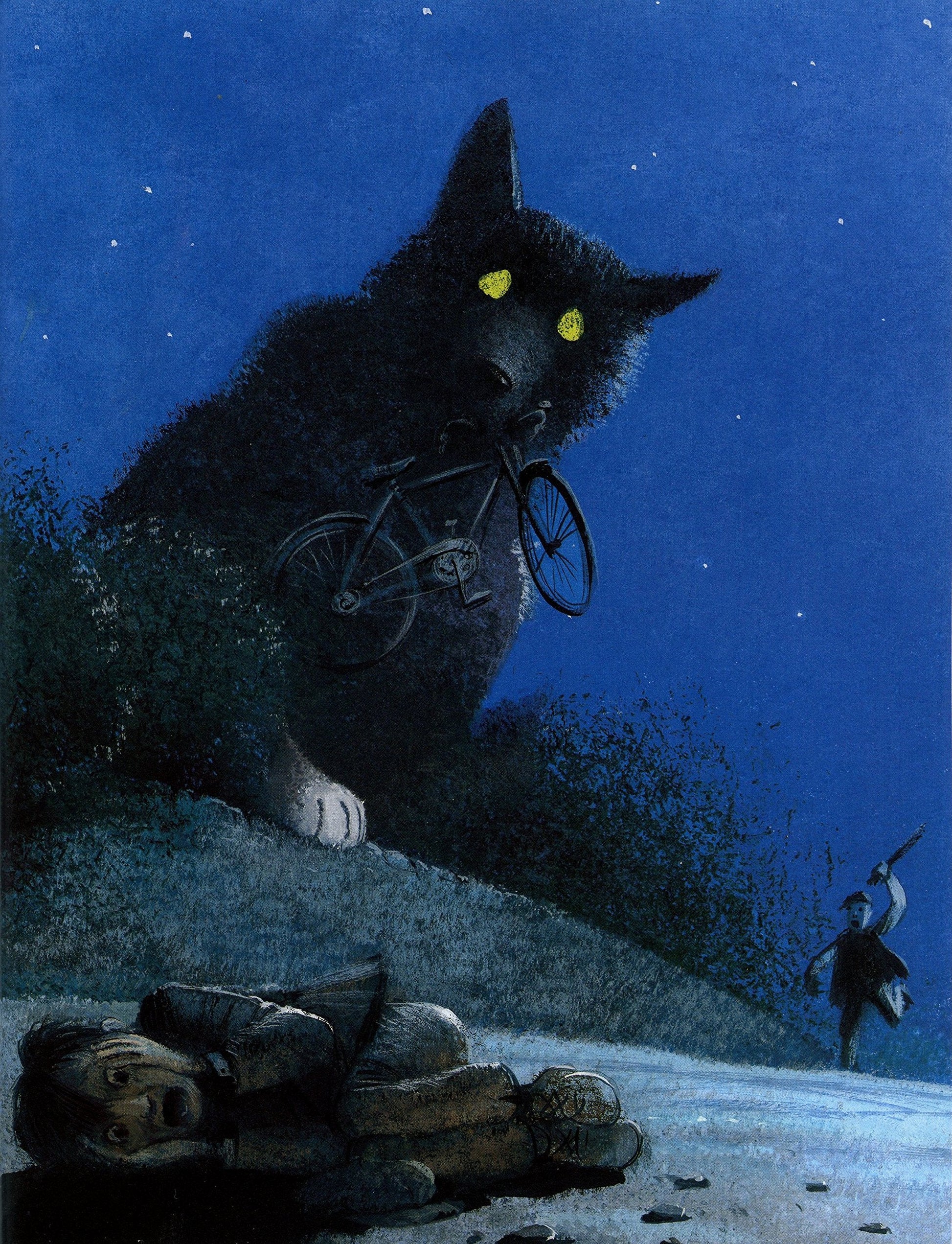 The King with Horse's Ears and Other Irish Folktales (Folktales of the World) used book depot