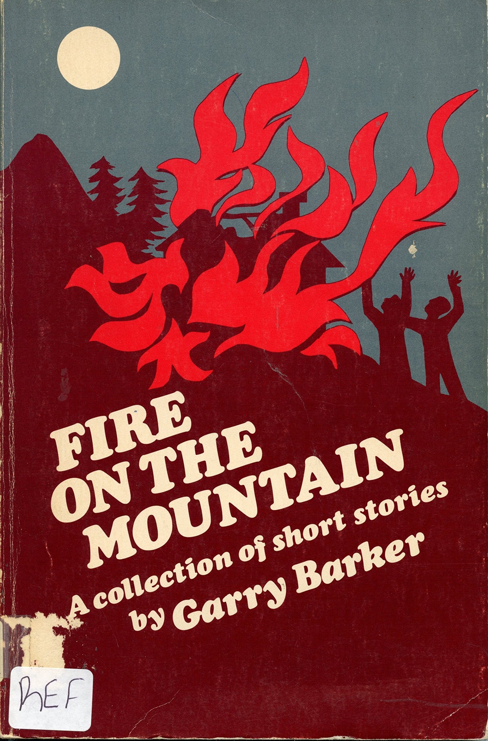 Fire on Mountain used book depot