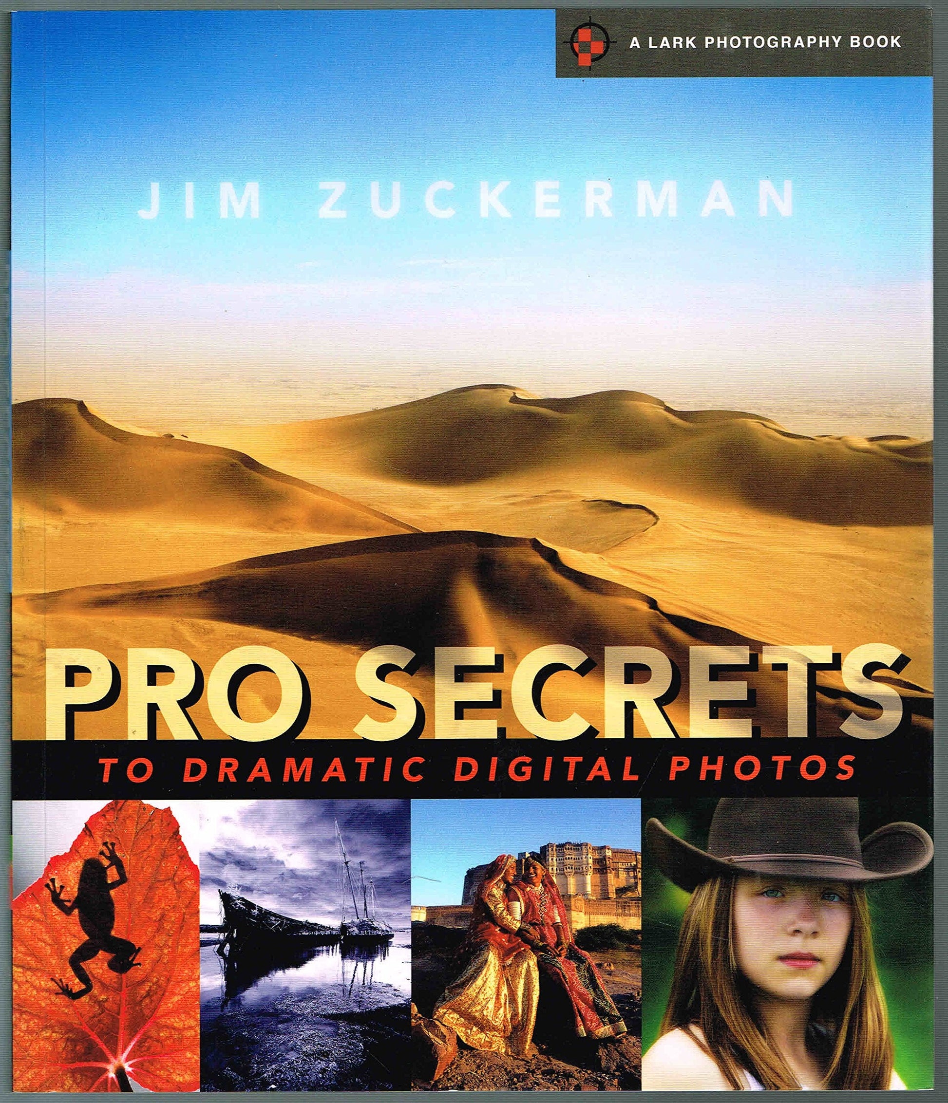 Pro Secrets to Dramatic Digital Photos (A Lark Photography Book) used book depot