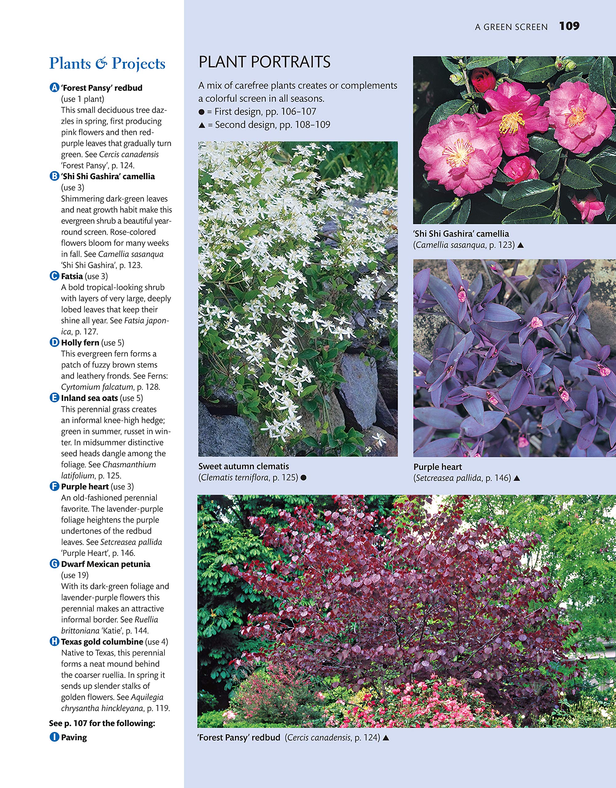 Texas Home Landscaping, 3rd Edition: 48 Landscape Designs, 200+ Plants & Flowers Best Suited to the Region (Creative Homeowner) Gardening Ideas, Plans, and Outdoor DIY Projects for TX and OK used book depot